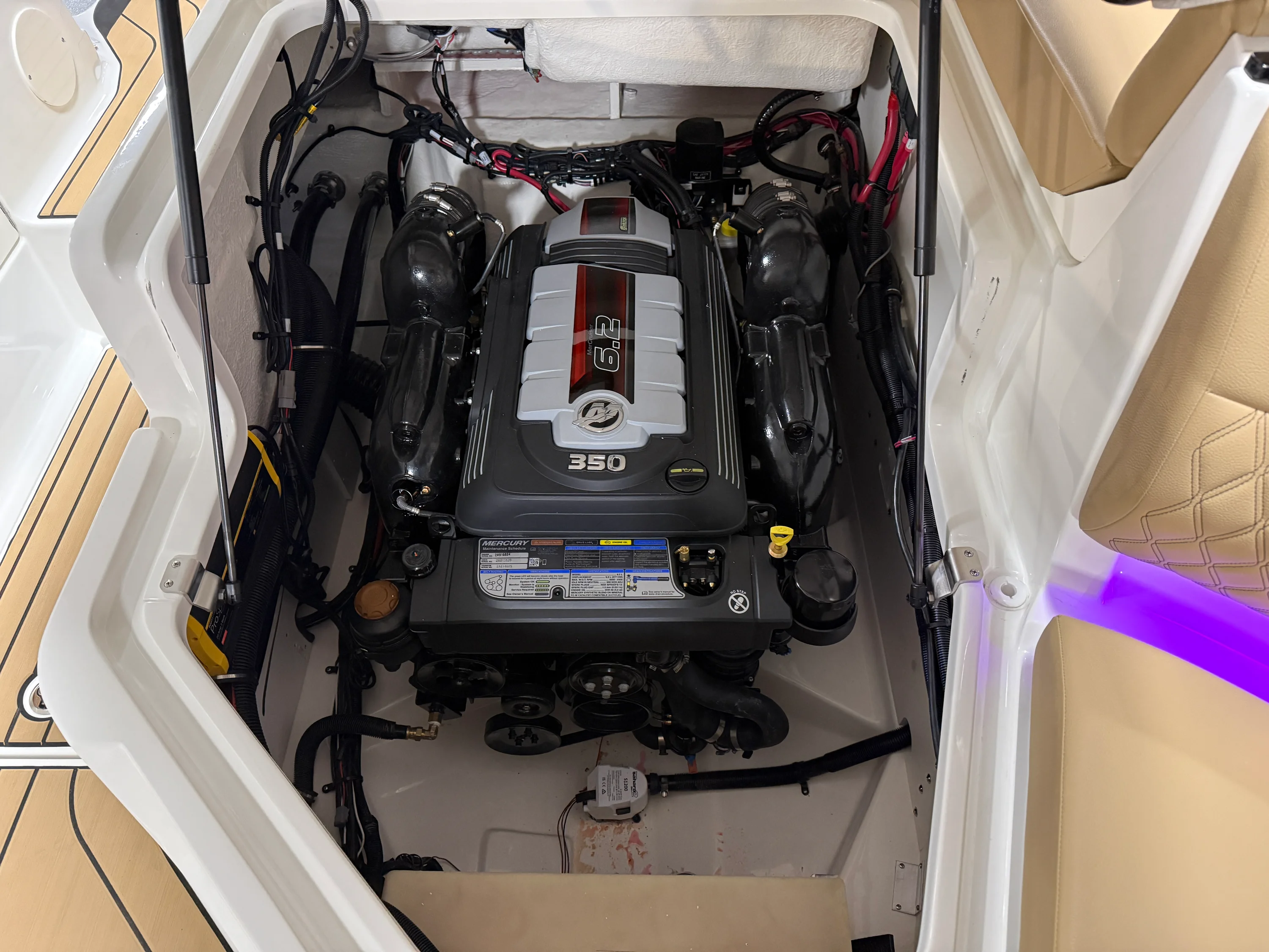 2026 Sea Ray SLX 260 Image Thumbnail #46