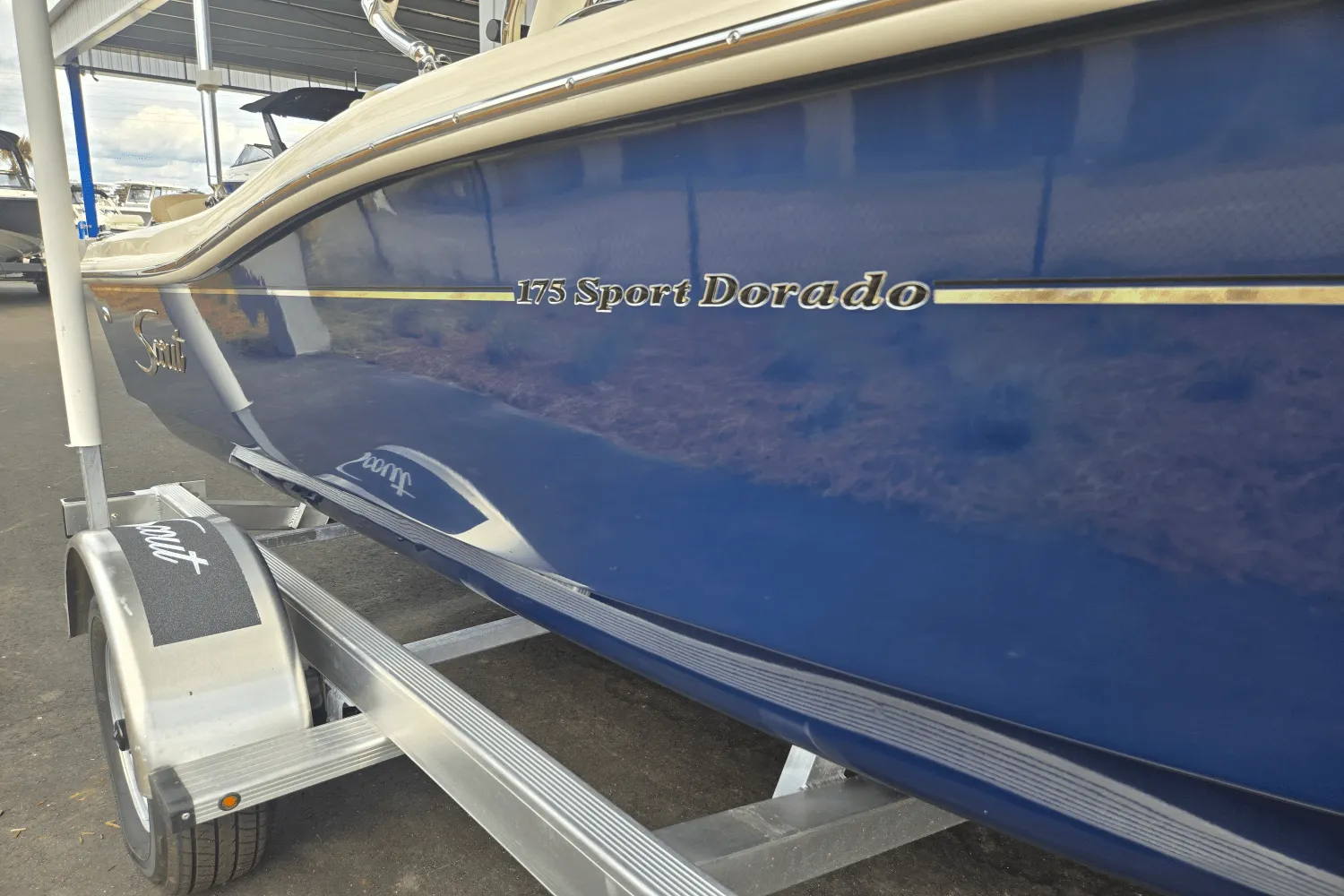 2026 Scout 175 Sport Dorado Image Thumbnail #1