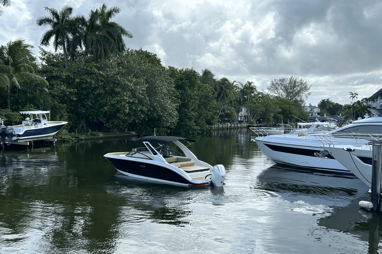 2025 Sea Ray SDX 250 Outboard Image Thumbnail #15