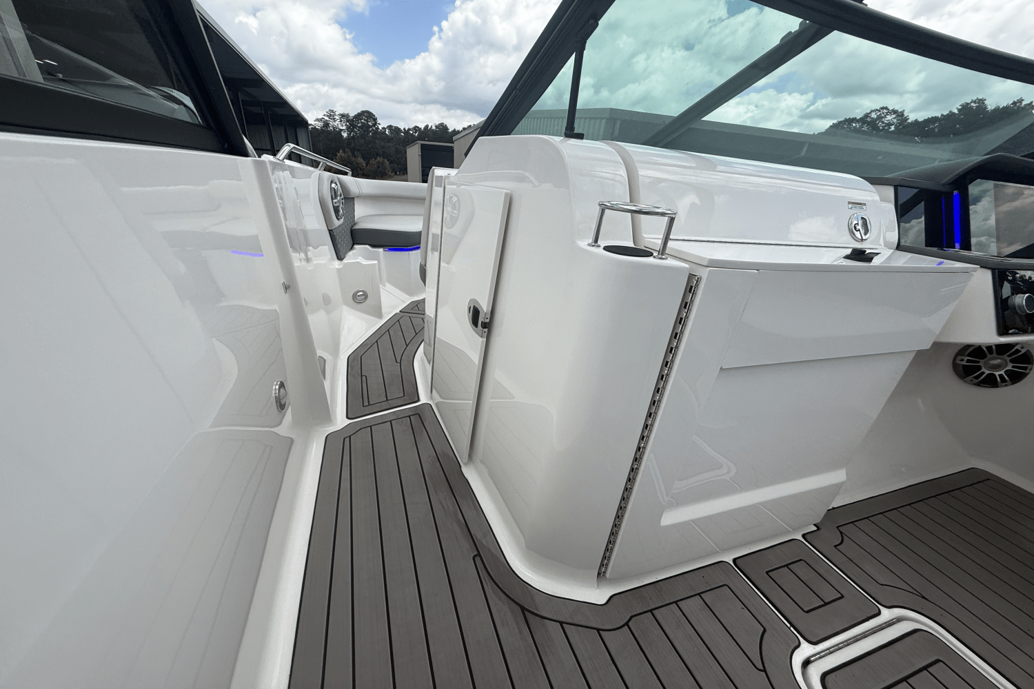 2023 Sea Ray 250 SDX Image Thumbnail #45