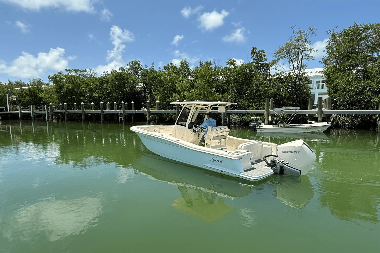 2026 Scout 240 XSF Image Thumbnail #0