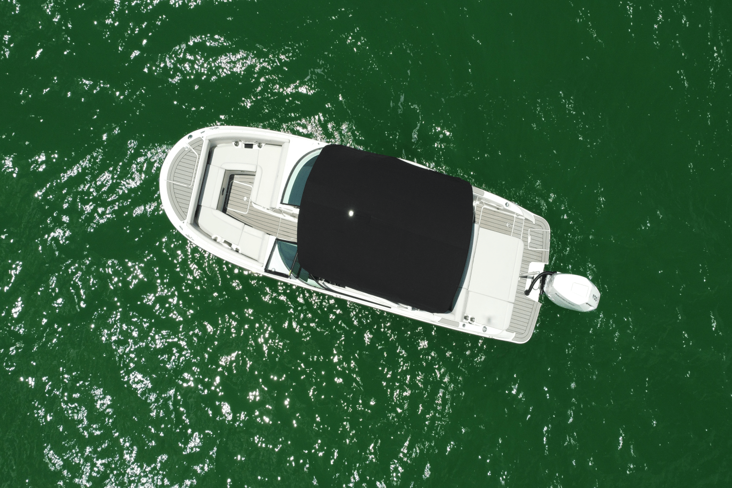 2025 Sea Ray SDX 270 Outboard Image Thumbnail #12