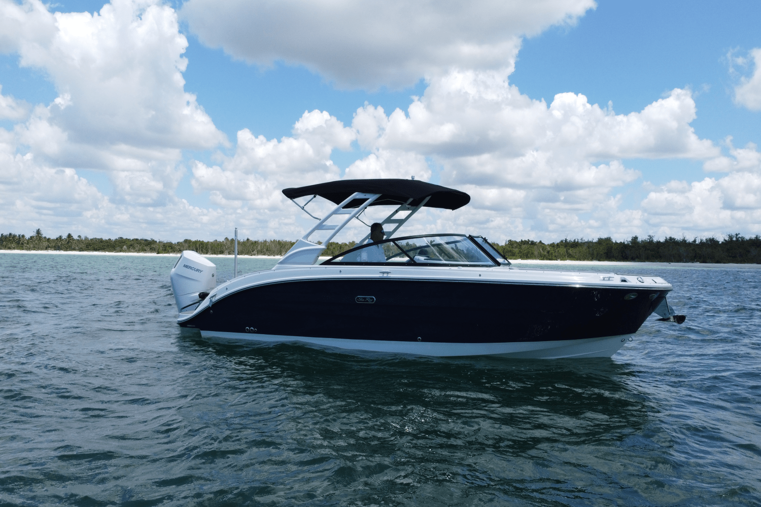 2025 Sea Ray SDX 270 Outboard Image Thumbnail #3