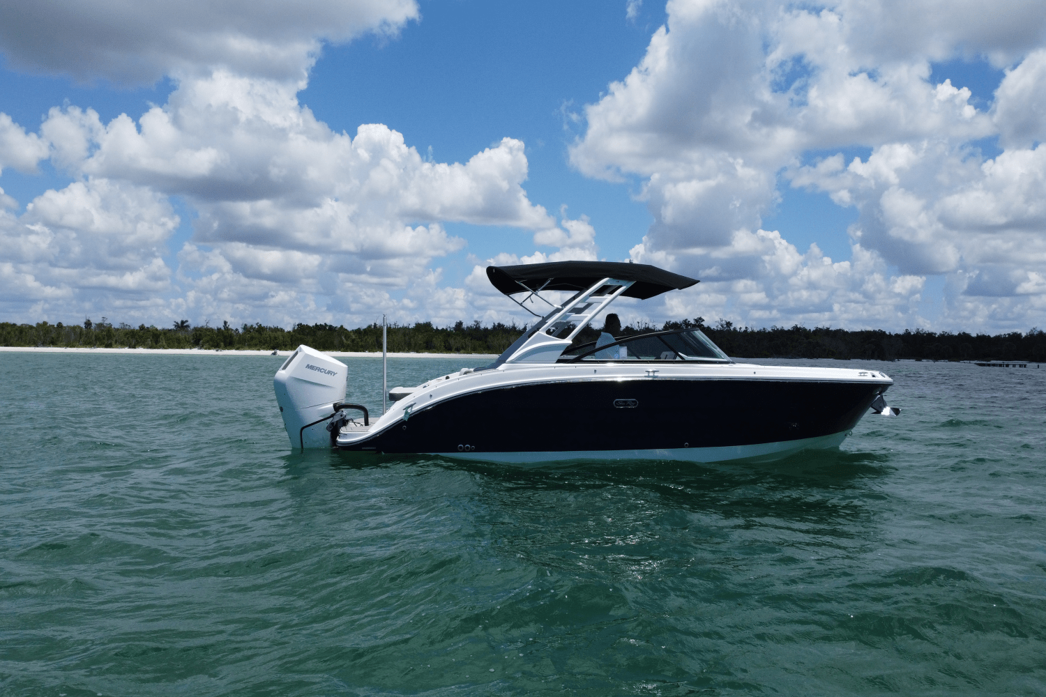 2025 Sea Ray SDX 270 Outboard Image Thumbnail #4