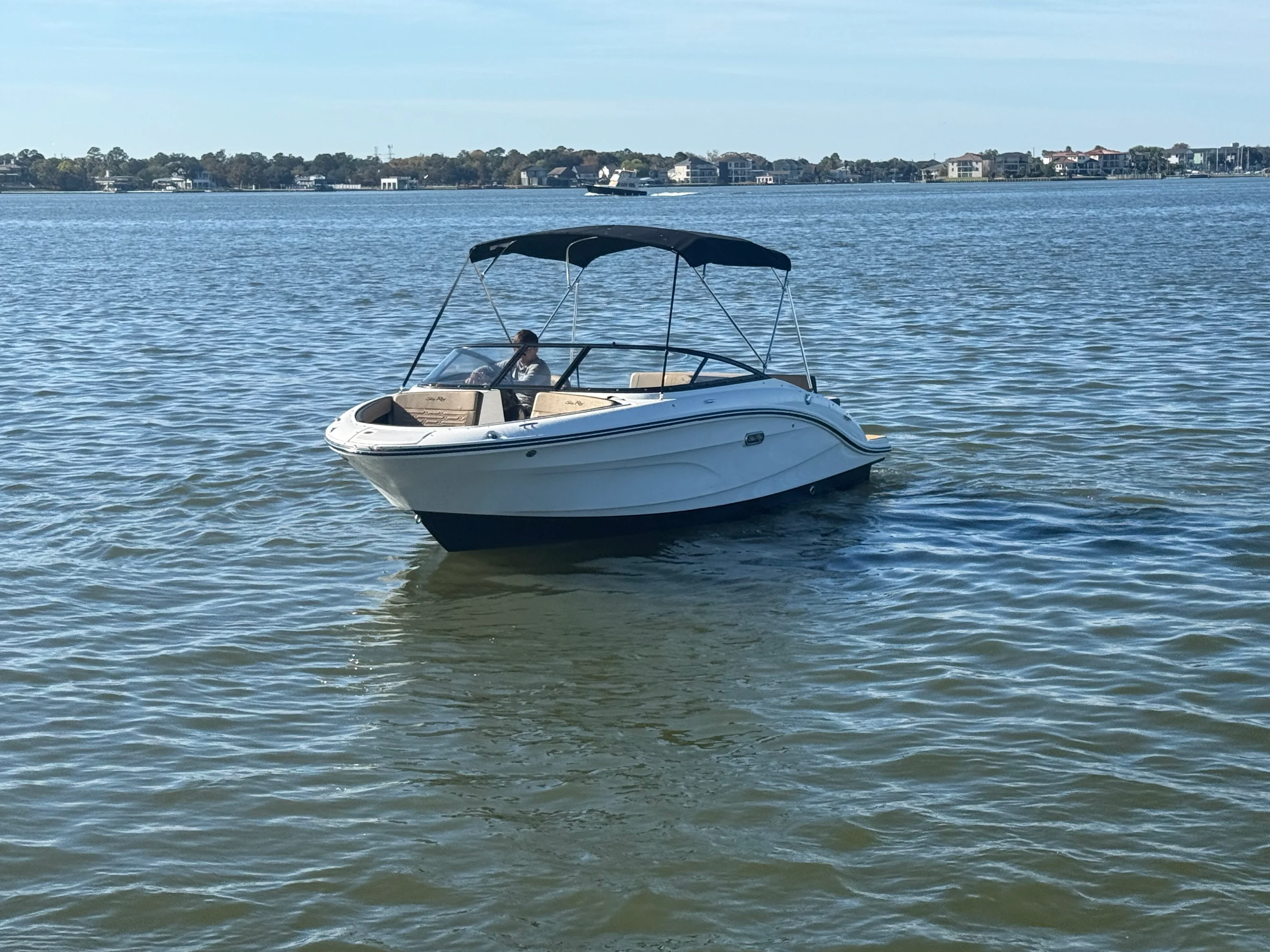 2025 Sea Ray SPX 210 Image Thumbnail #3