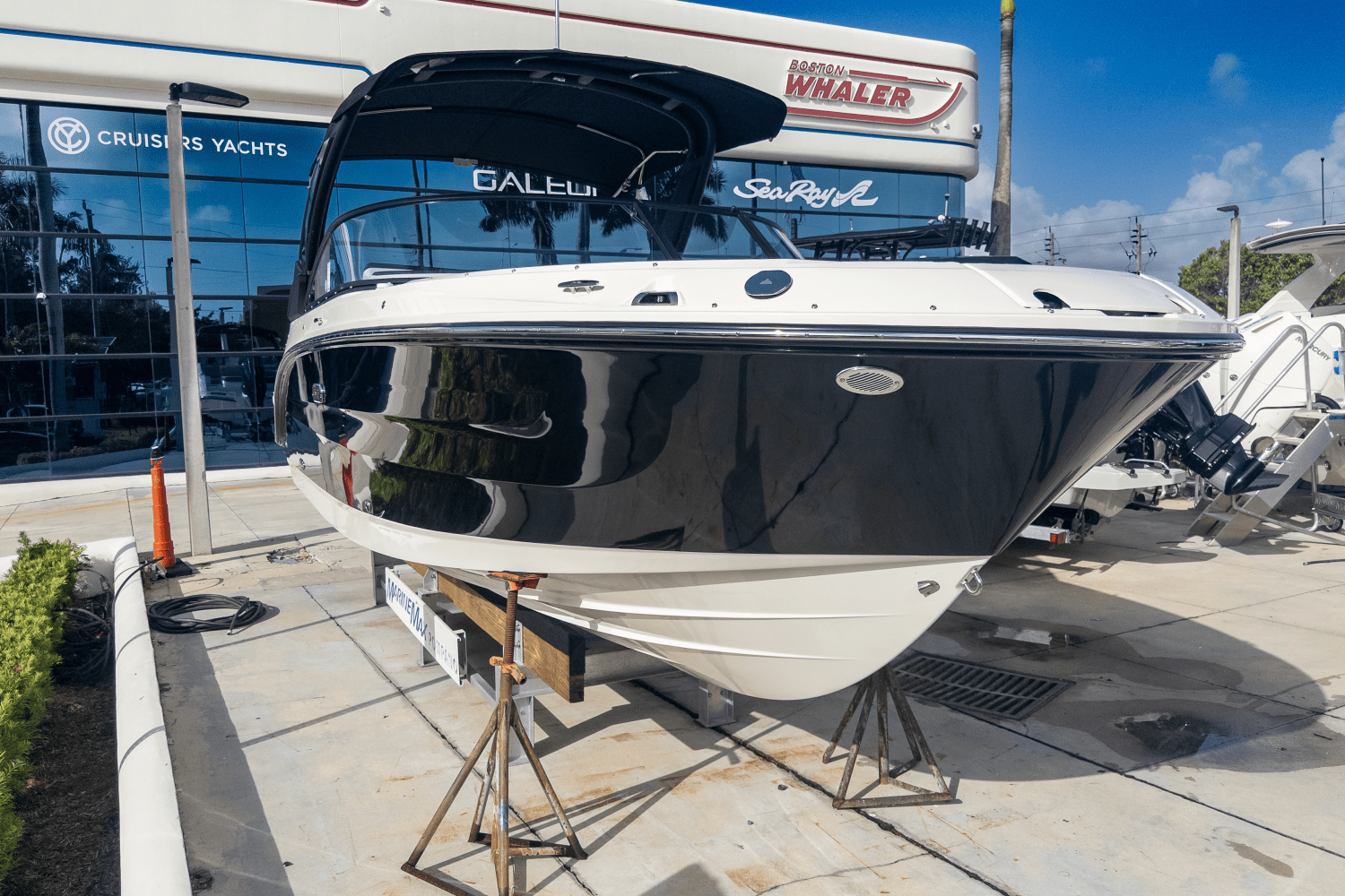 2025 Sea Ray SDX 250 Outboard Image Thumbnail #3