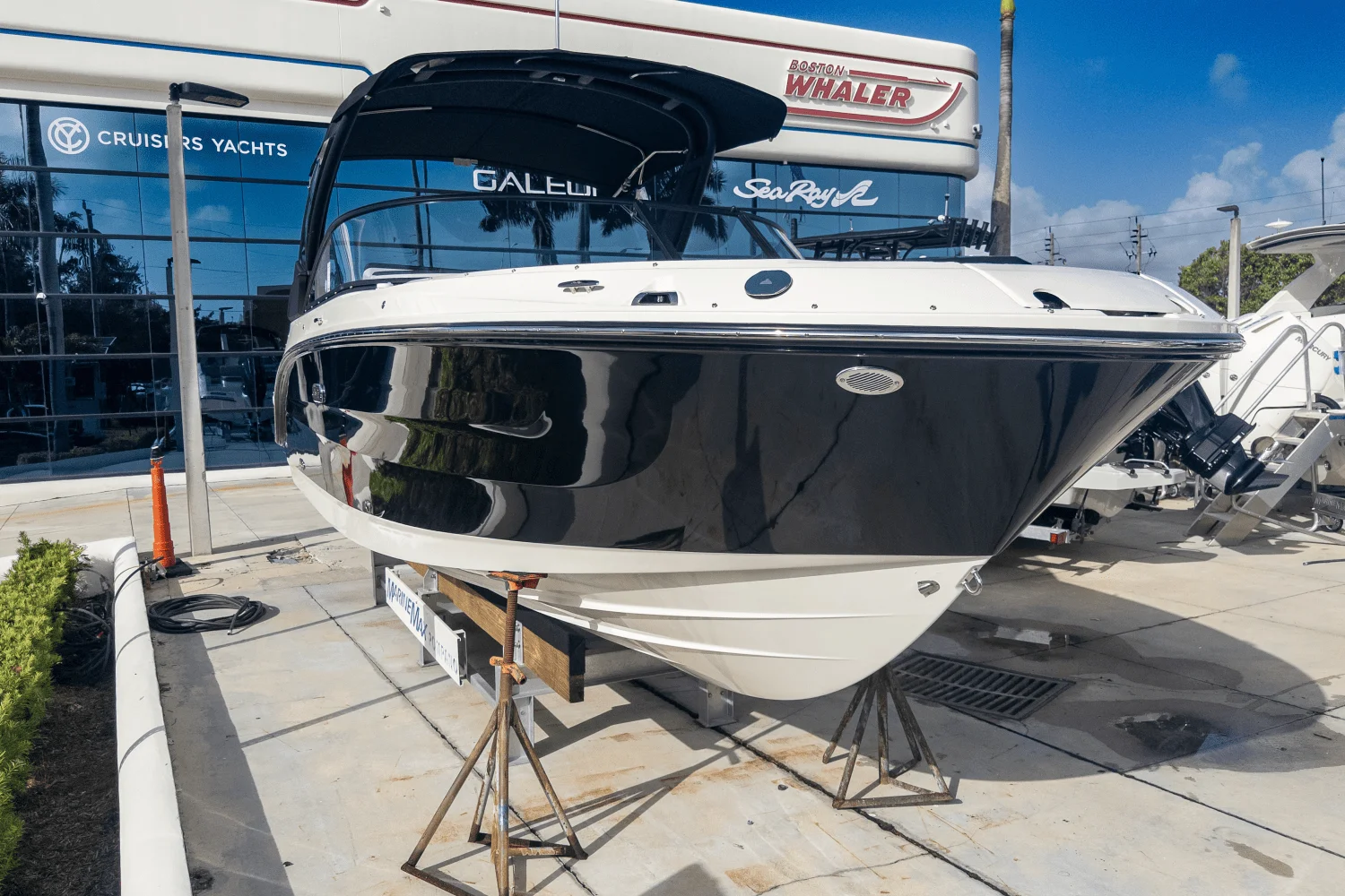 2025 Sea Ray SDX 250 Outboard Image Thumbnail #3