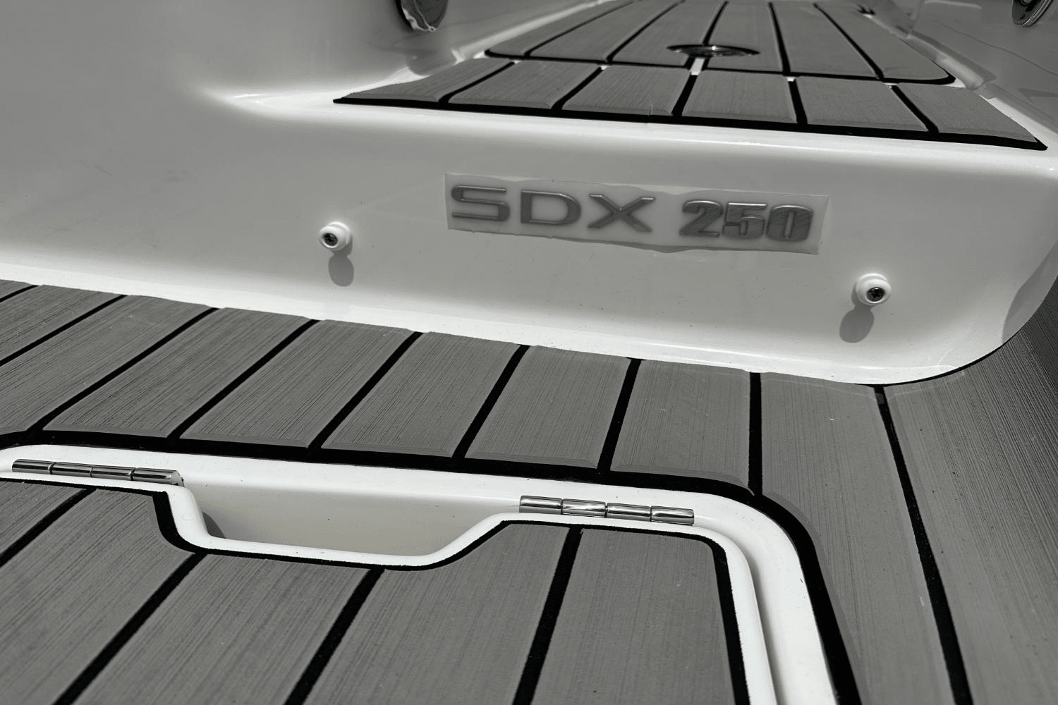 2025 Sea Ray SDX 250 Outboard Image Thumbnail #13