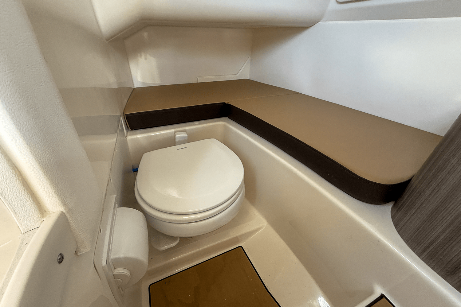 2025 Sea Ray SDX 270 Outboard Image Thumbnail #17