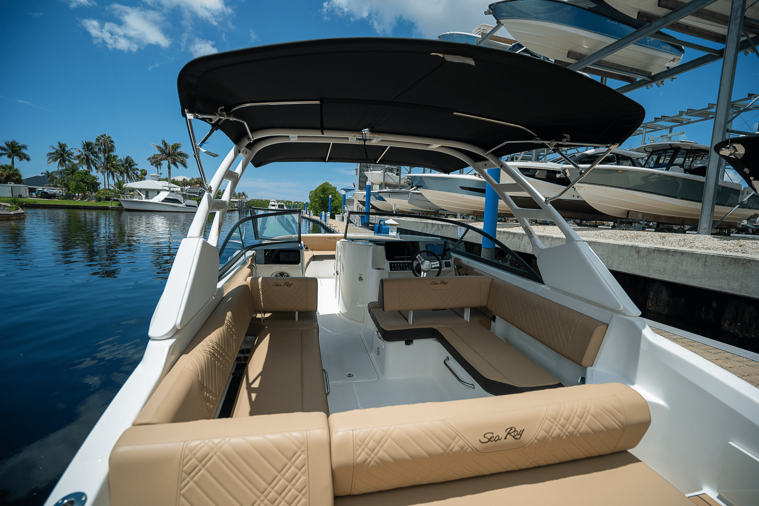 2025 Sea Ray SDX 270 Outboard Image Thumbnail #6