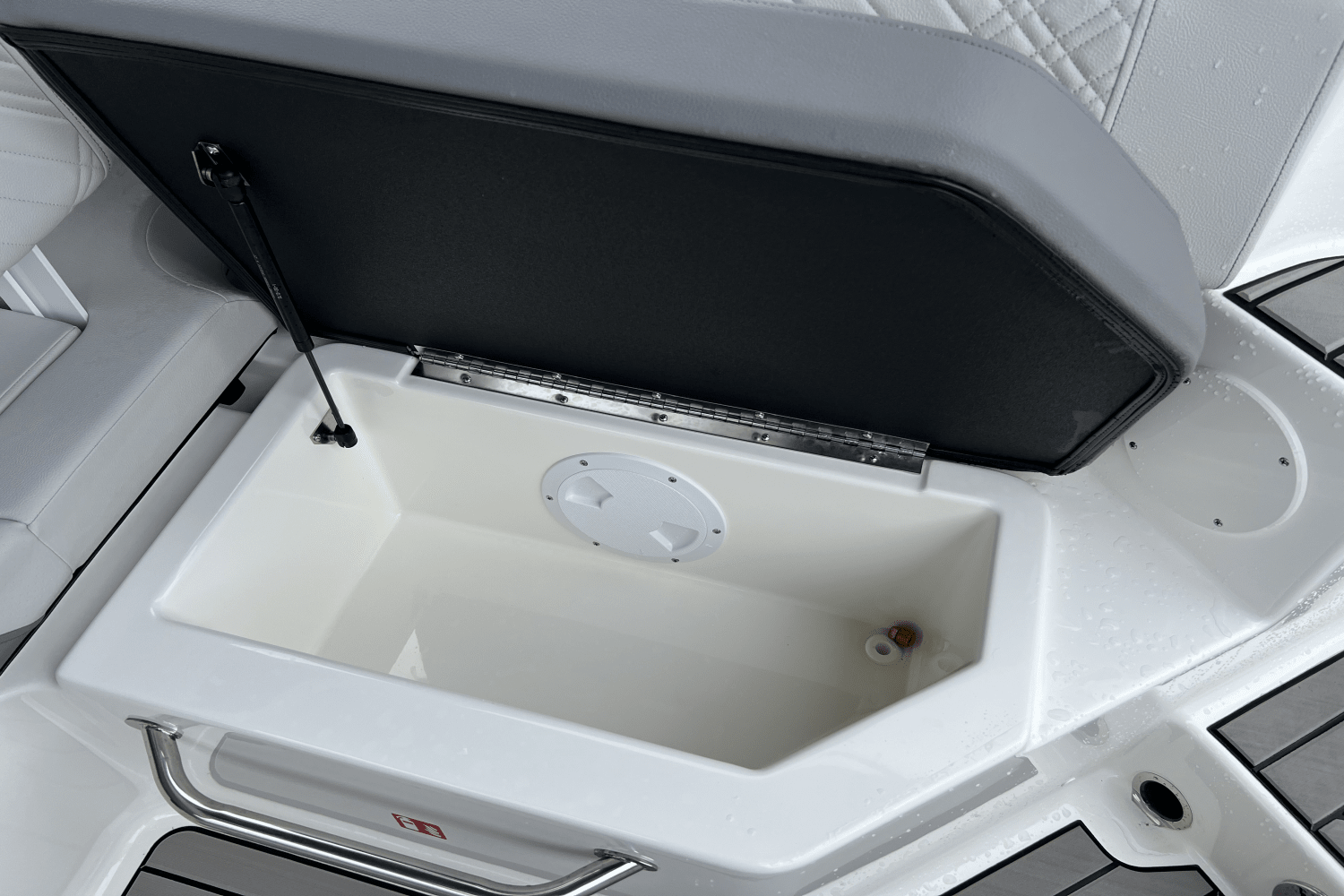 2025 Sea Ray SDX 250 Outboard Image Thumbnail #13