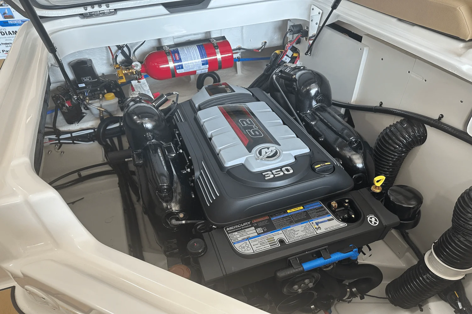 2025 Sea Ray 250 SDX Image Thumbnail #21