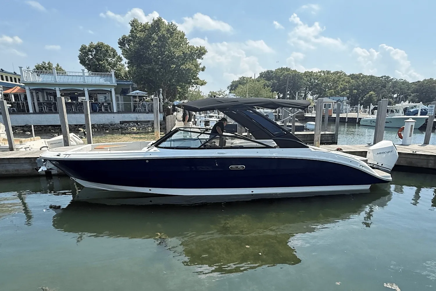 2025 Sea Ray SDX 270 Outboard Image Thumbnail #0