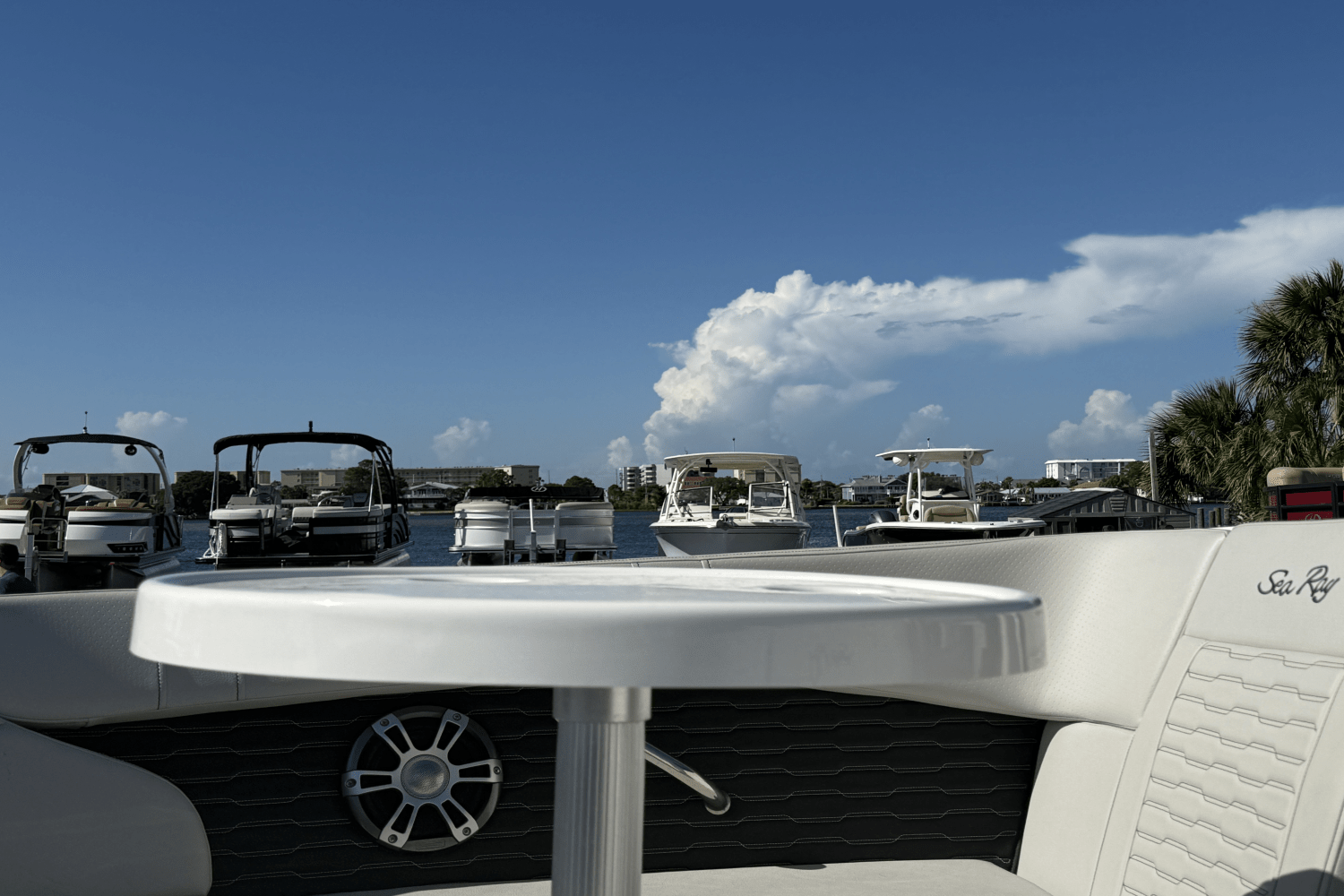 2023 Sea Ray SPX 230 Outboard Image Thumbnail #11