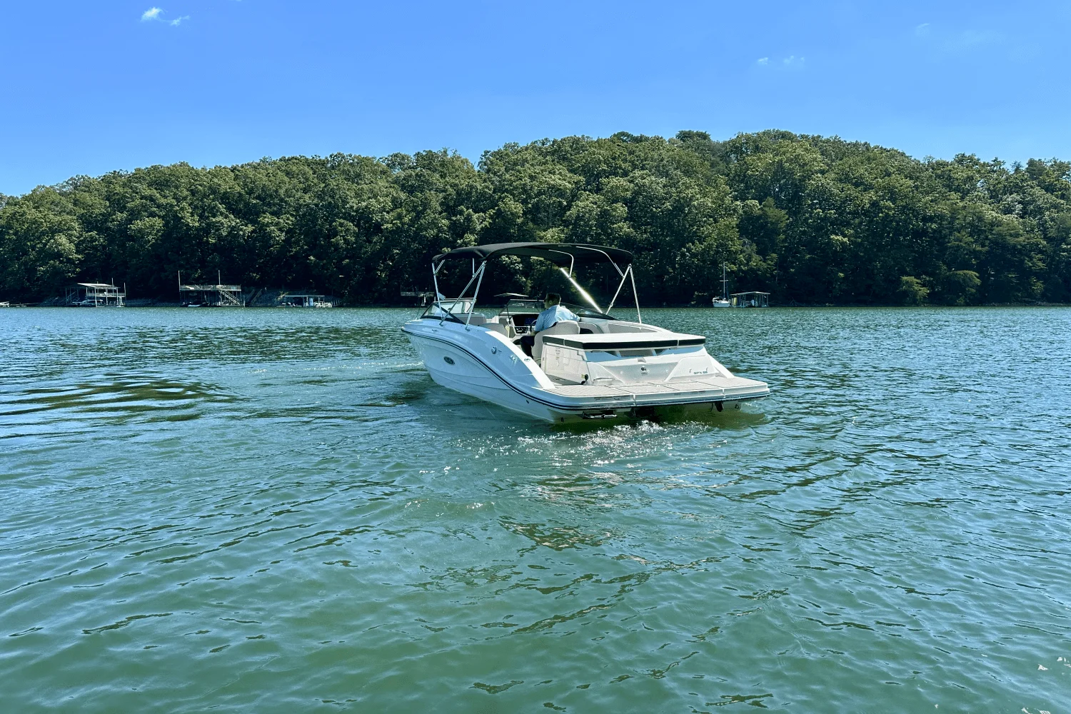 2025 Sea Ray SPX 230 Image Thumbnail #5