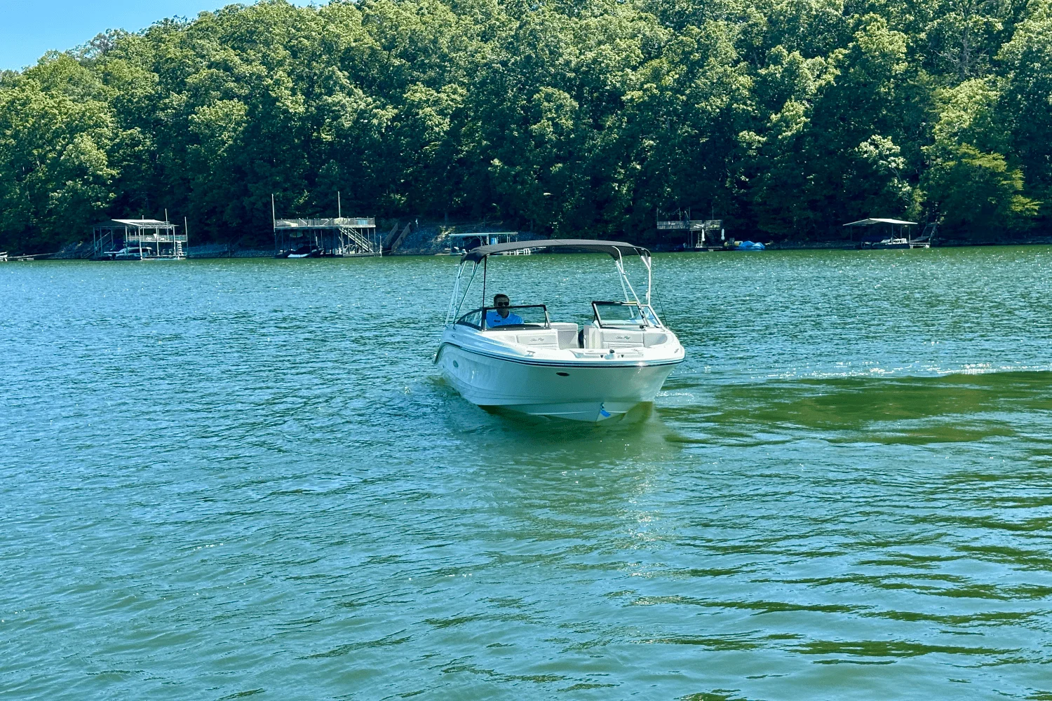 2025 Sea Ray SPX 230 Image Thumbnail #11