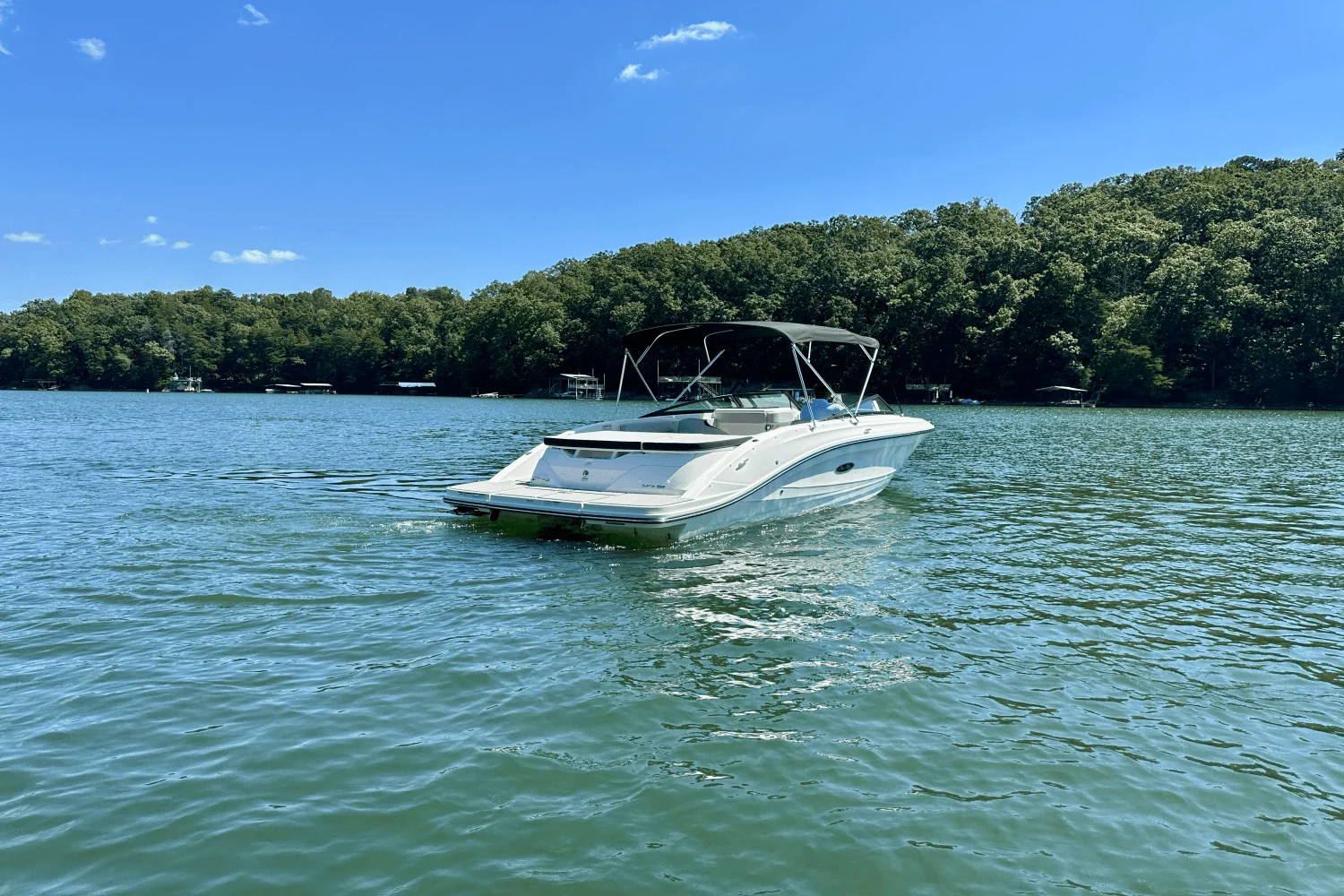 2025 Sea Ray SPX 230 Image Thumbnail #7