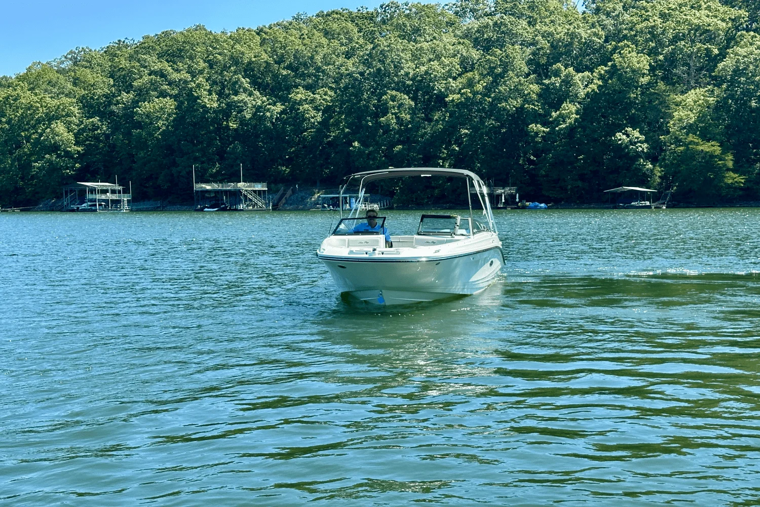 2025 Sea Ray SPX 230 Image Thumbnail #10