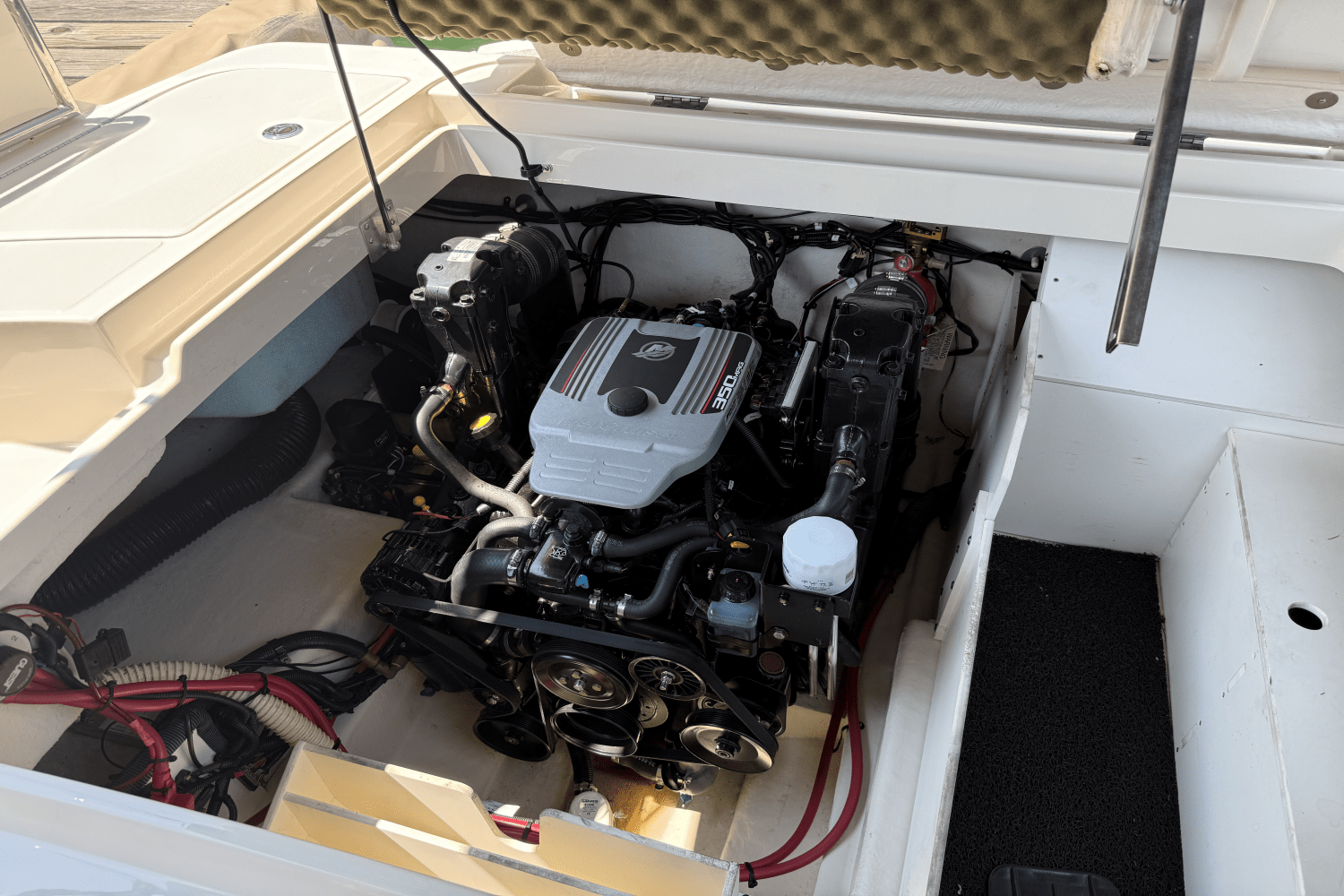 2010 Sea Ray 260 SUNDECK Image Thumbnail #19