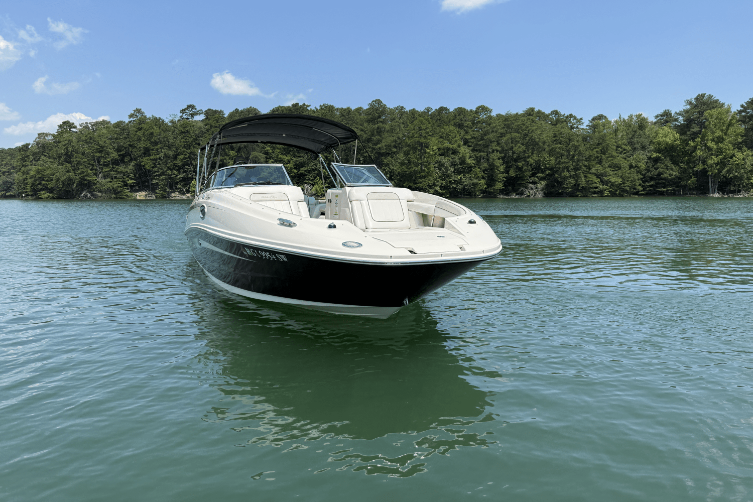 2010 Sea Ray 260 SUNDECK Image Thumbnail #1