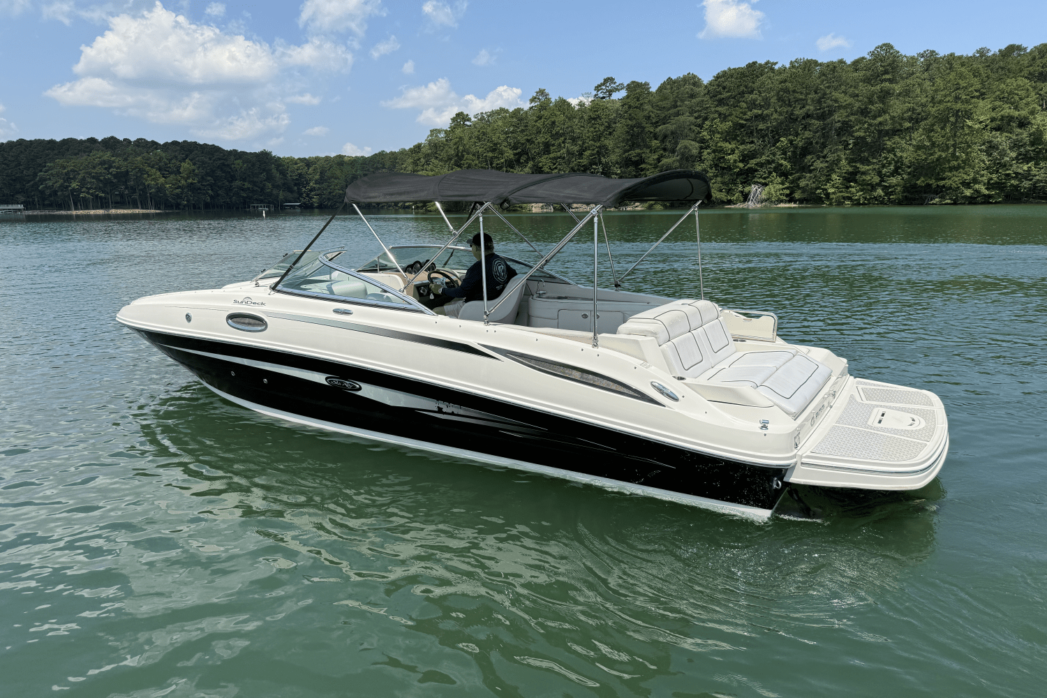 2010 Sea Ray 260 SUNDECK Image Thumbnail #4