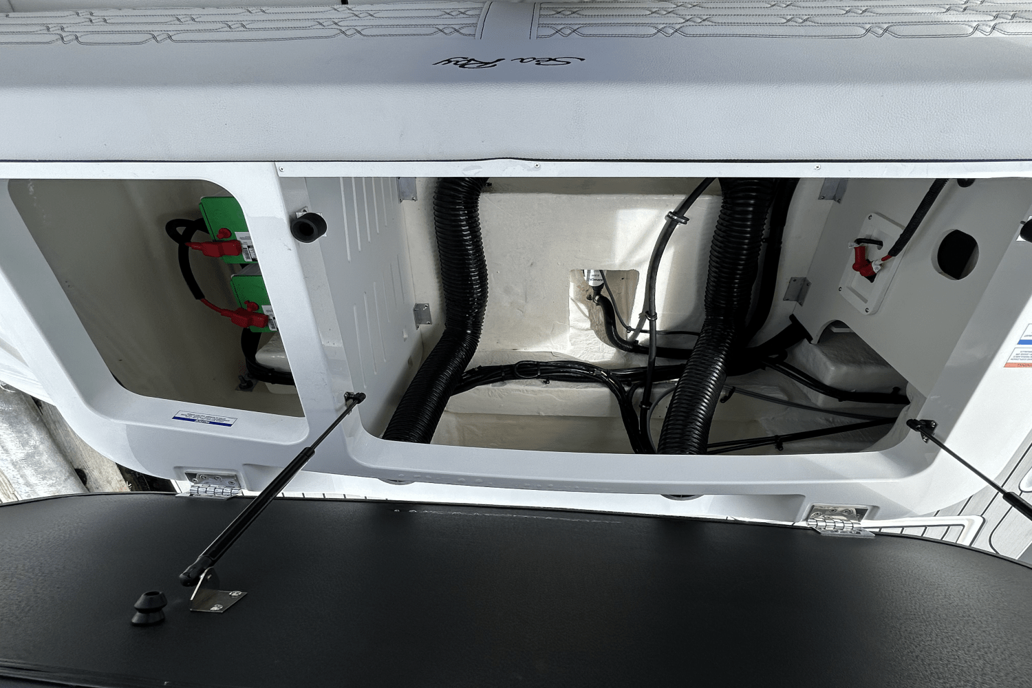 2025 Sea Ray SPX 190 Outboard Image Thumbnail #11
