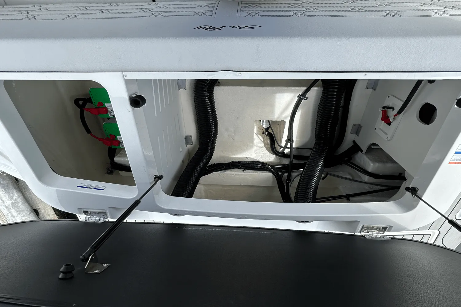 2025 Sea Ray SPX 190 Outboard Image Thumbnail #11