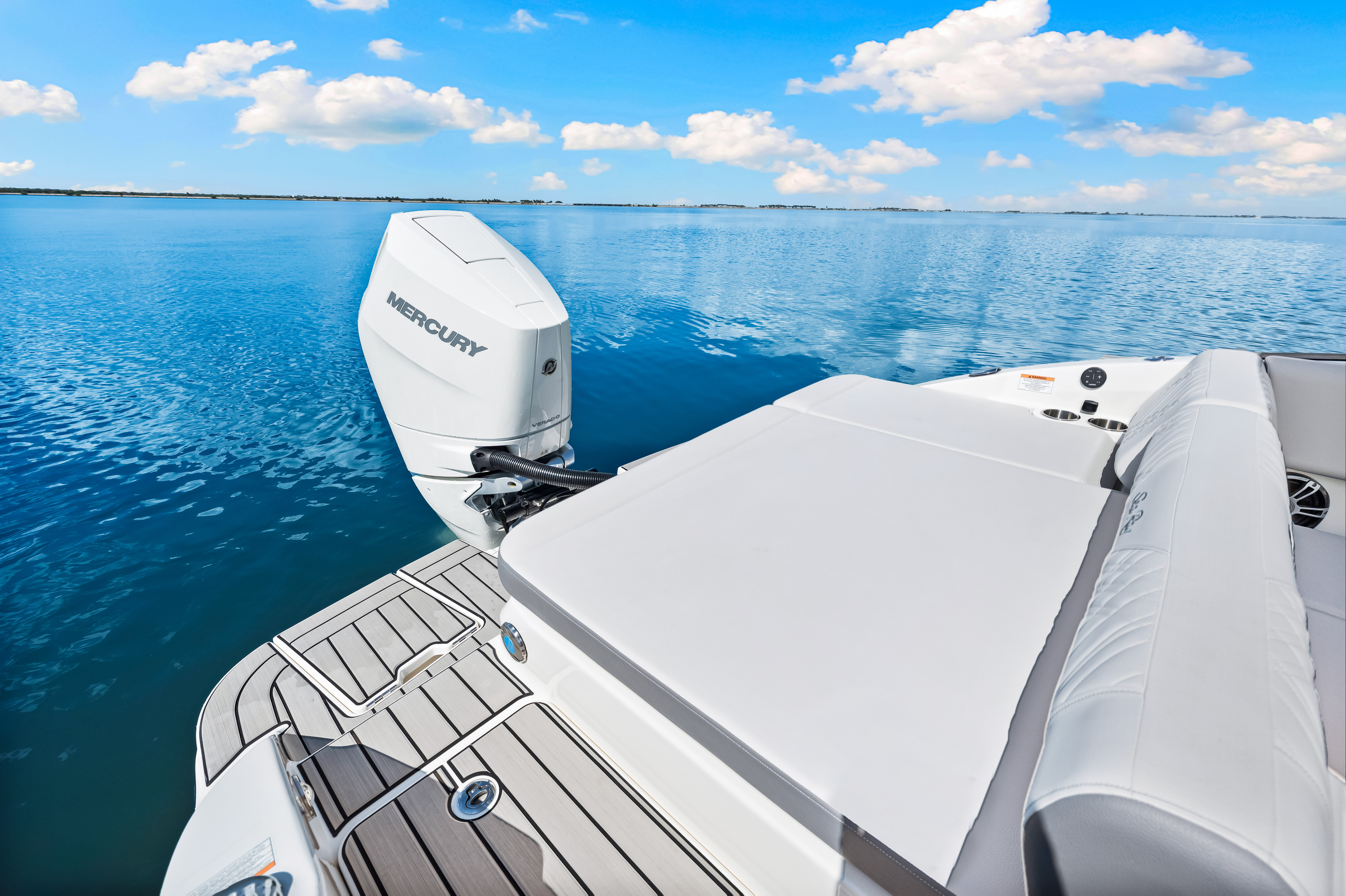 2025 Sea Ray SDX 270 Outboard Image Thumbnail #22