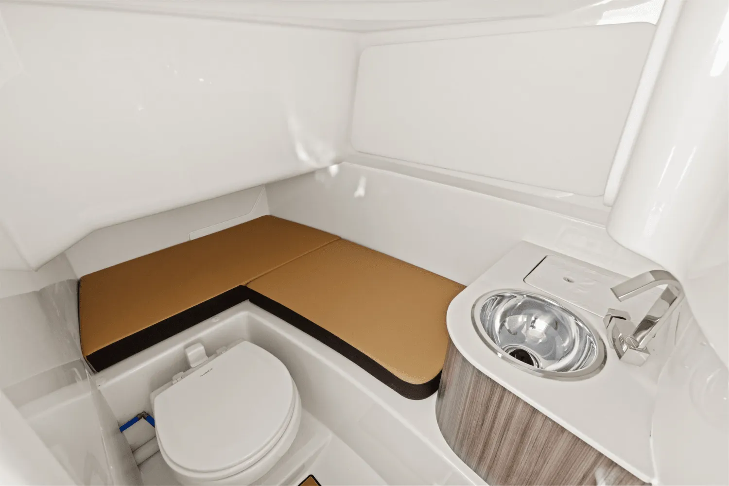 2025 Sea Ray SDX 270 Outboard Image Thumbnail #26