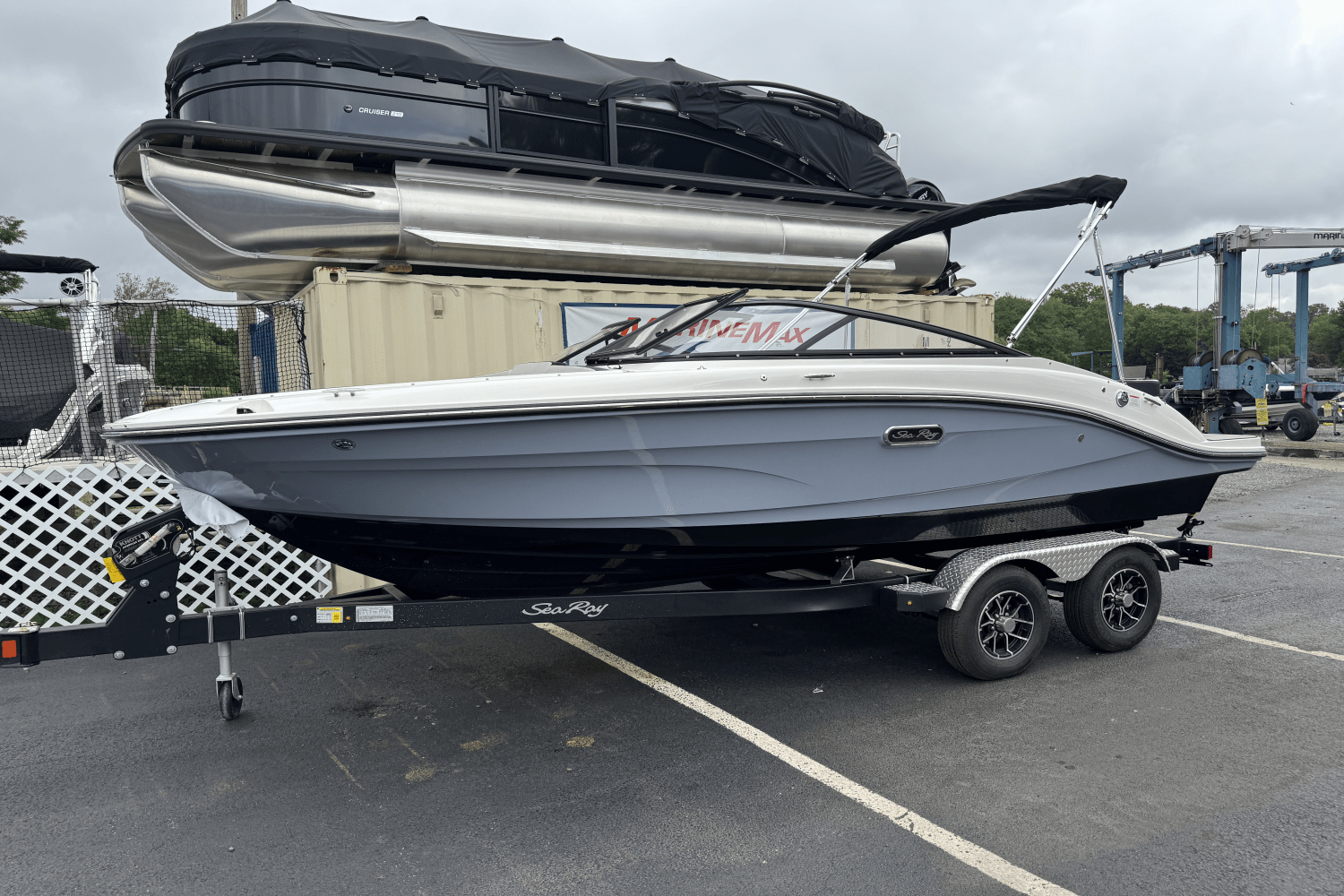2025 Sea Ray SPX 190 Image Thumbnail #10