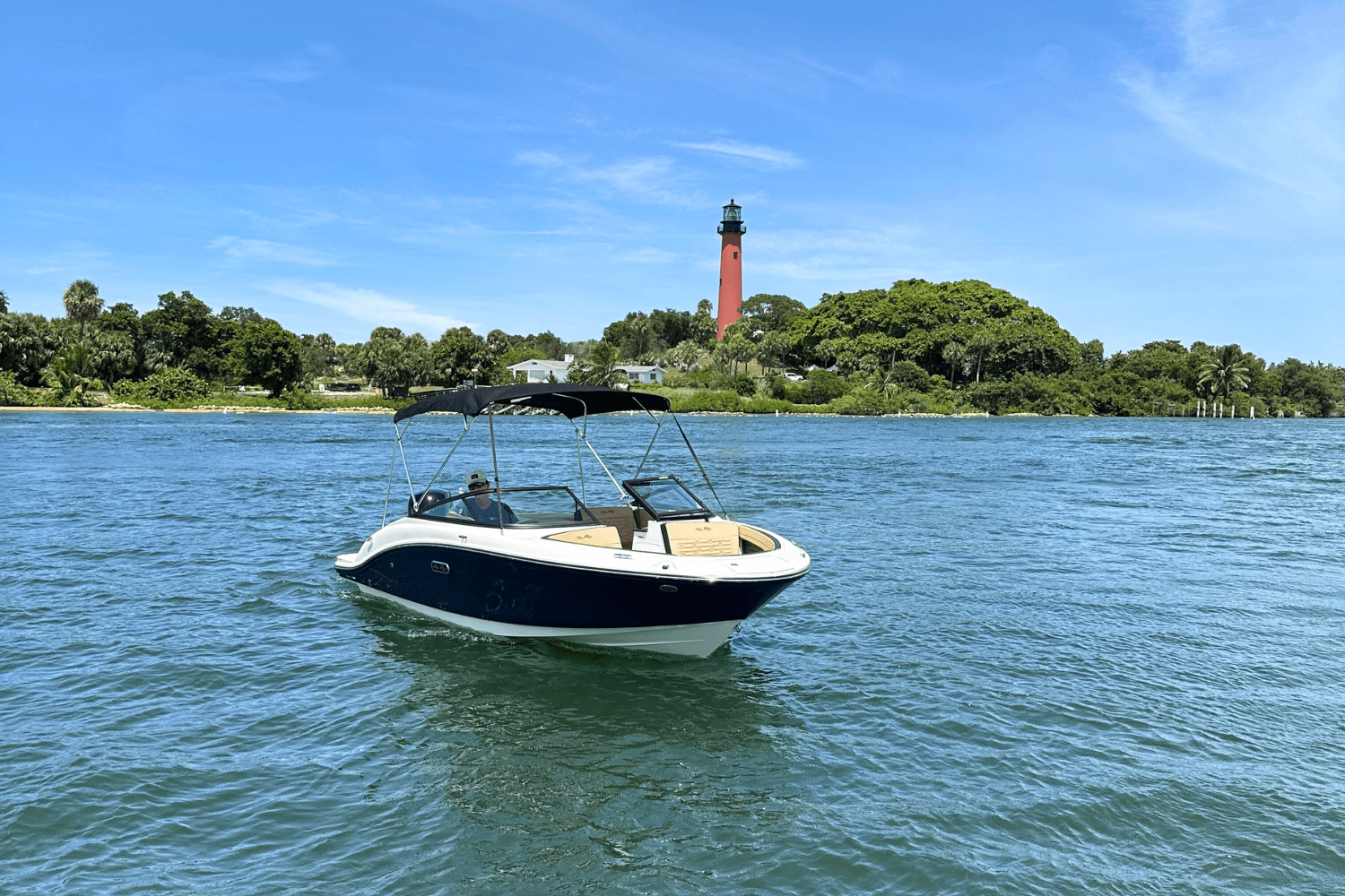 2025 Sea Ray SPX 190 Outboard Image Thumbnail #2