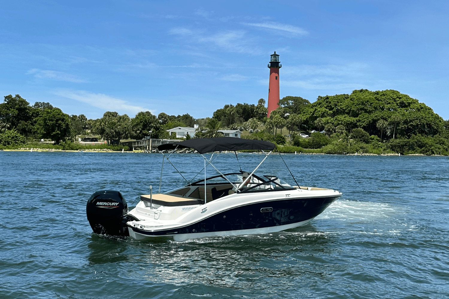 2025 Sea Ray SPX 190 Outboard Image Thumbnail #3
