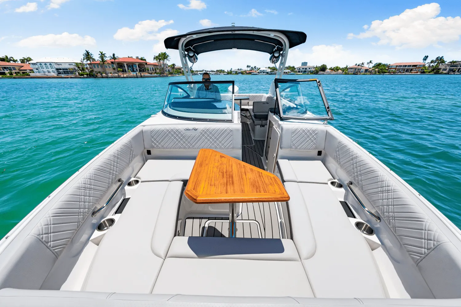 2025 Sea Ray SDX 270 Outboard Image Thumbnail #48