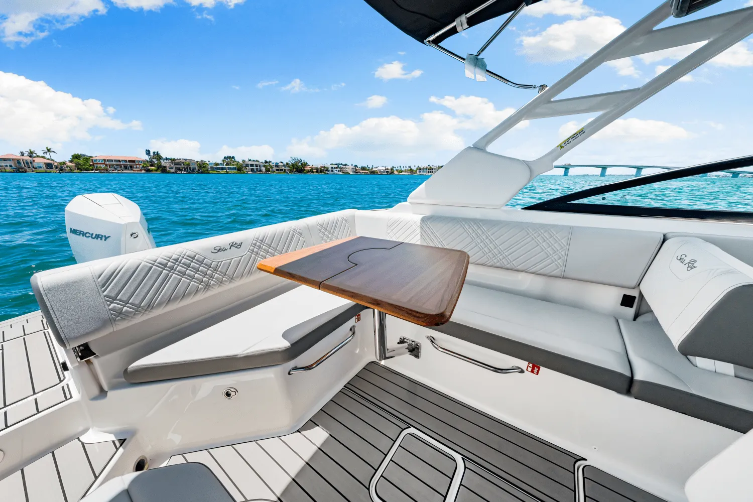 2025 Sea Ray SDX 270 Outboard Image Thumbnail #36