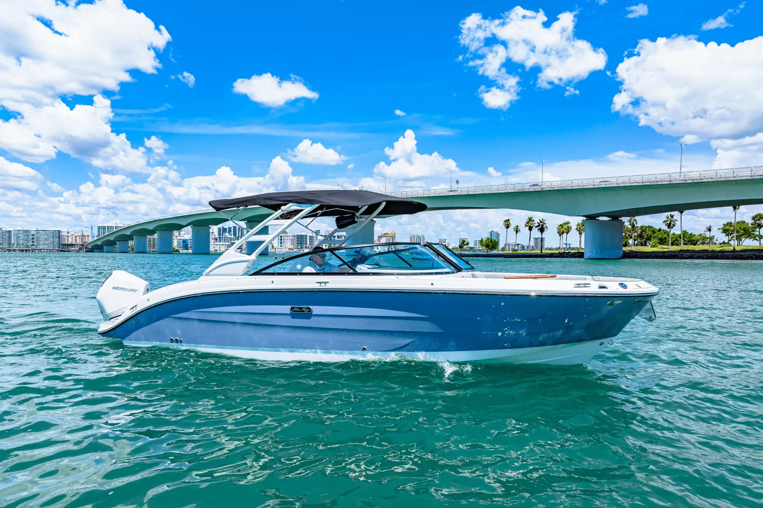 2025 Sea Ray SDX 270 Outboard Image Thumbnail #12