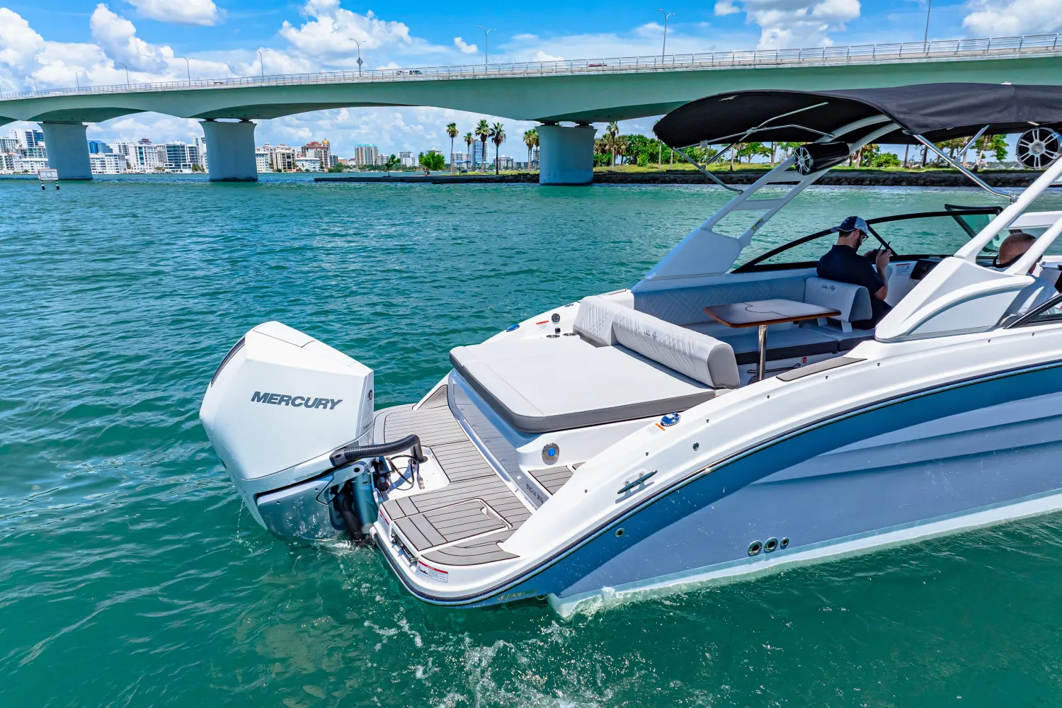 2025 Sea Ray SDX 270 Outboard Image Thumbnail #13