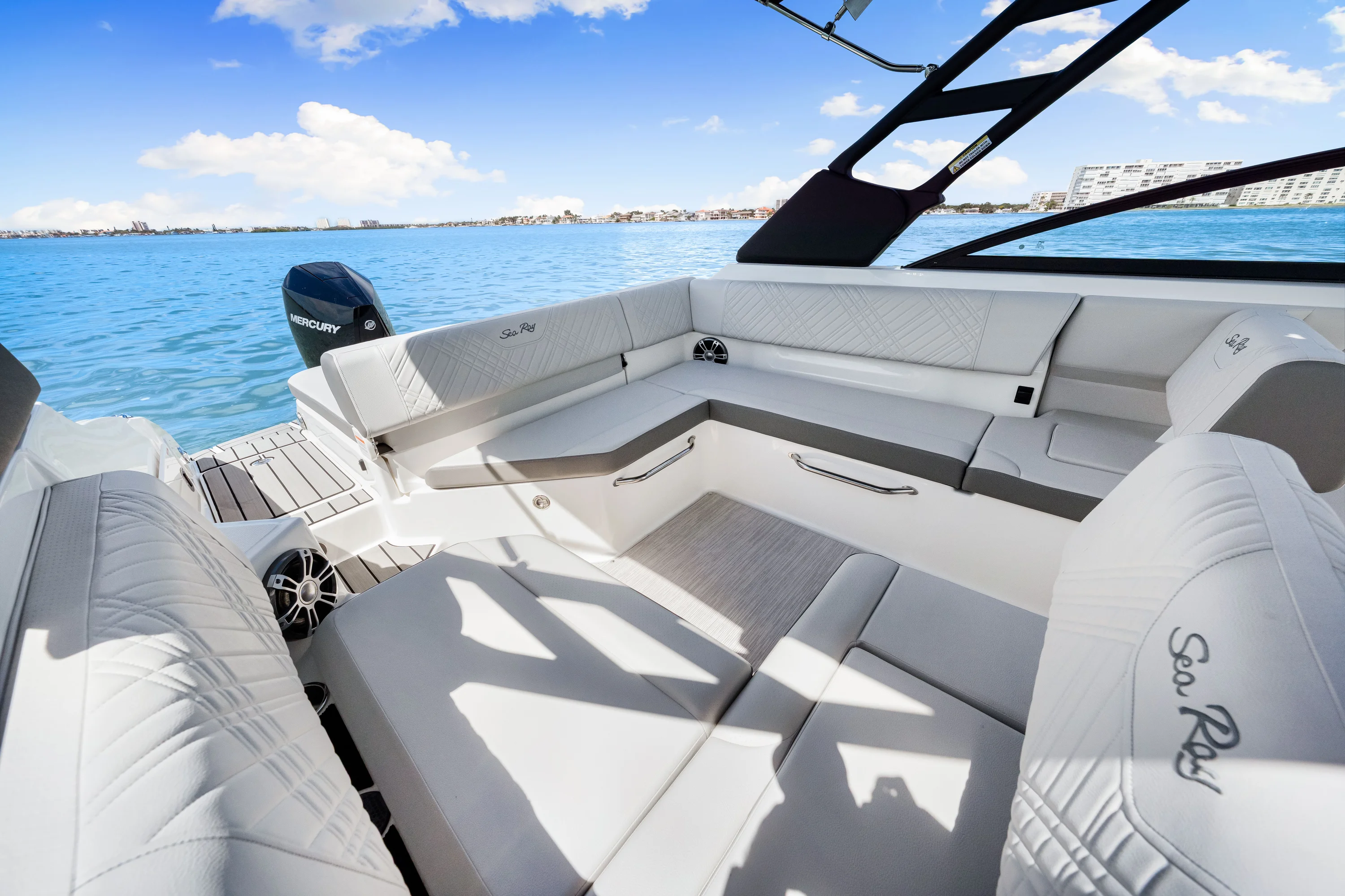 2025 Sea Ray SDX 250 Outboard Image Thumbnail #30