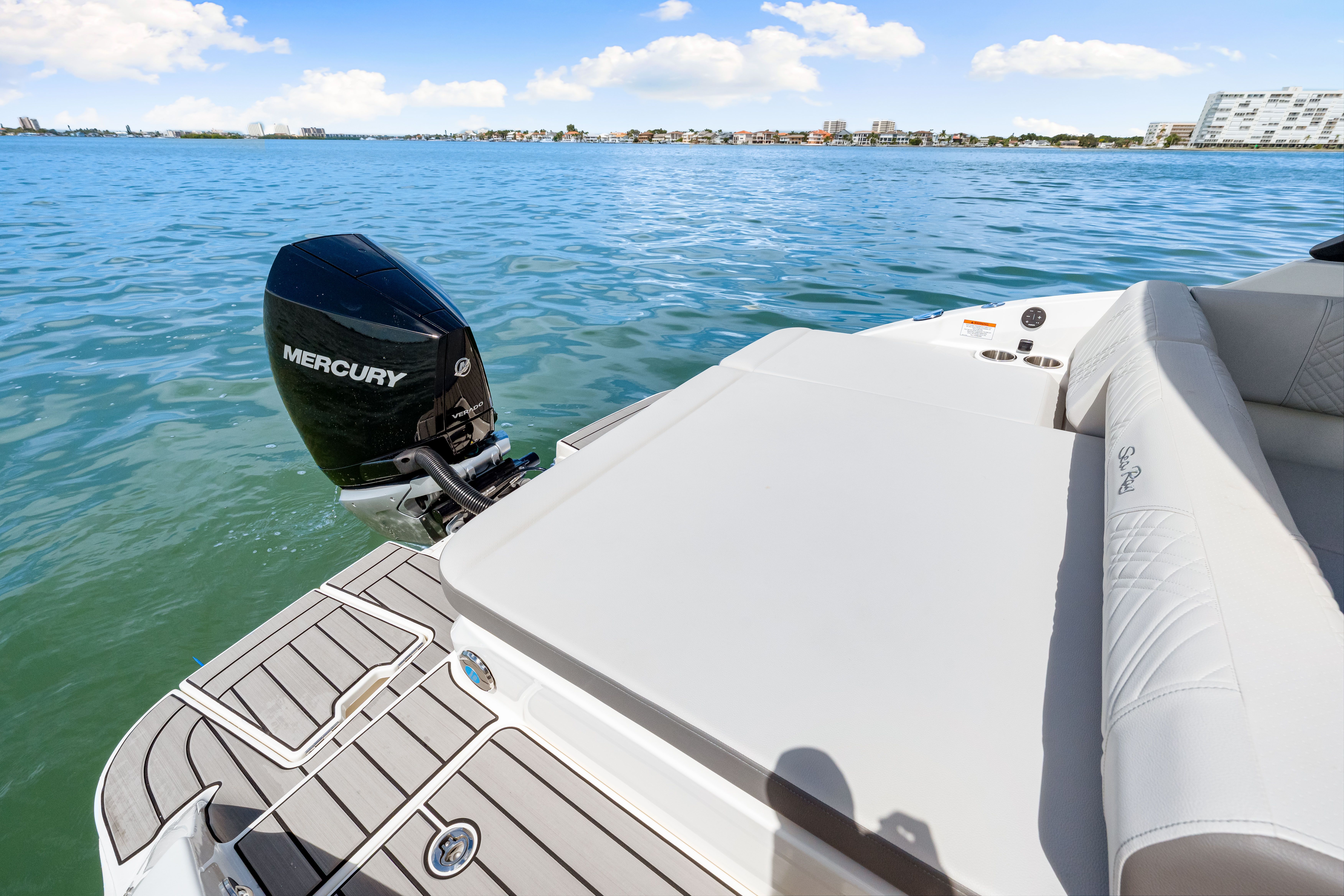 2025 Sea Ray SDX 250 Outboard Image Thumbnail #23