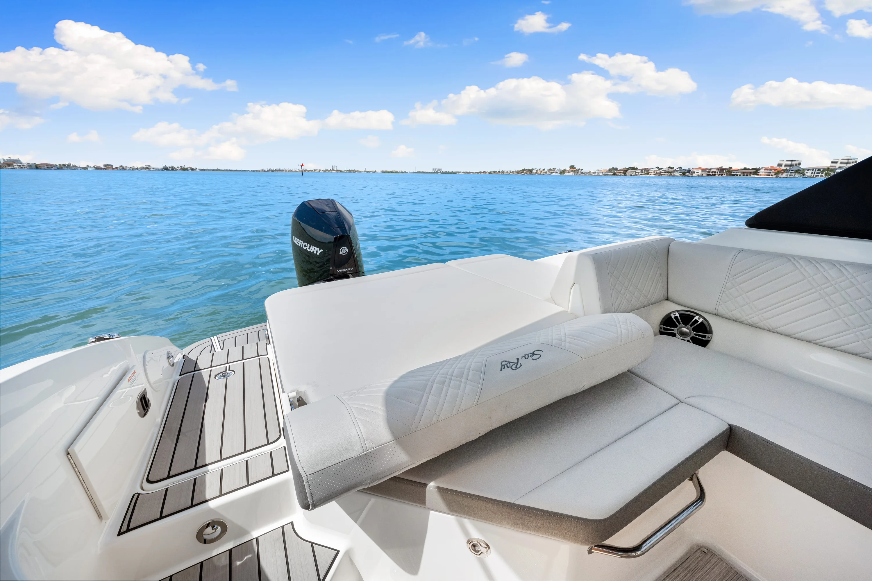 2025 Sea Ray SDX 250 Outboard Image Thumbnail #26