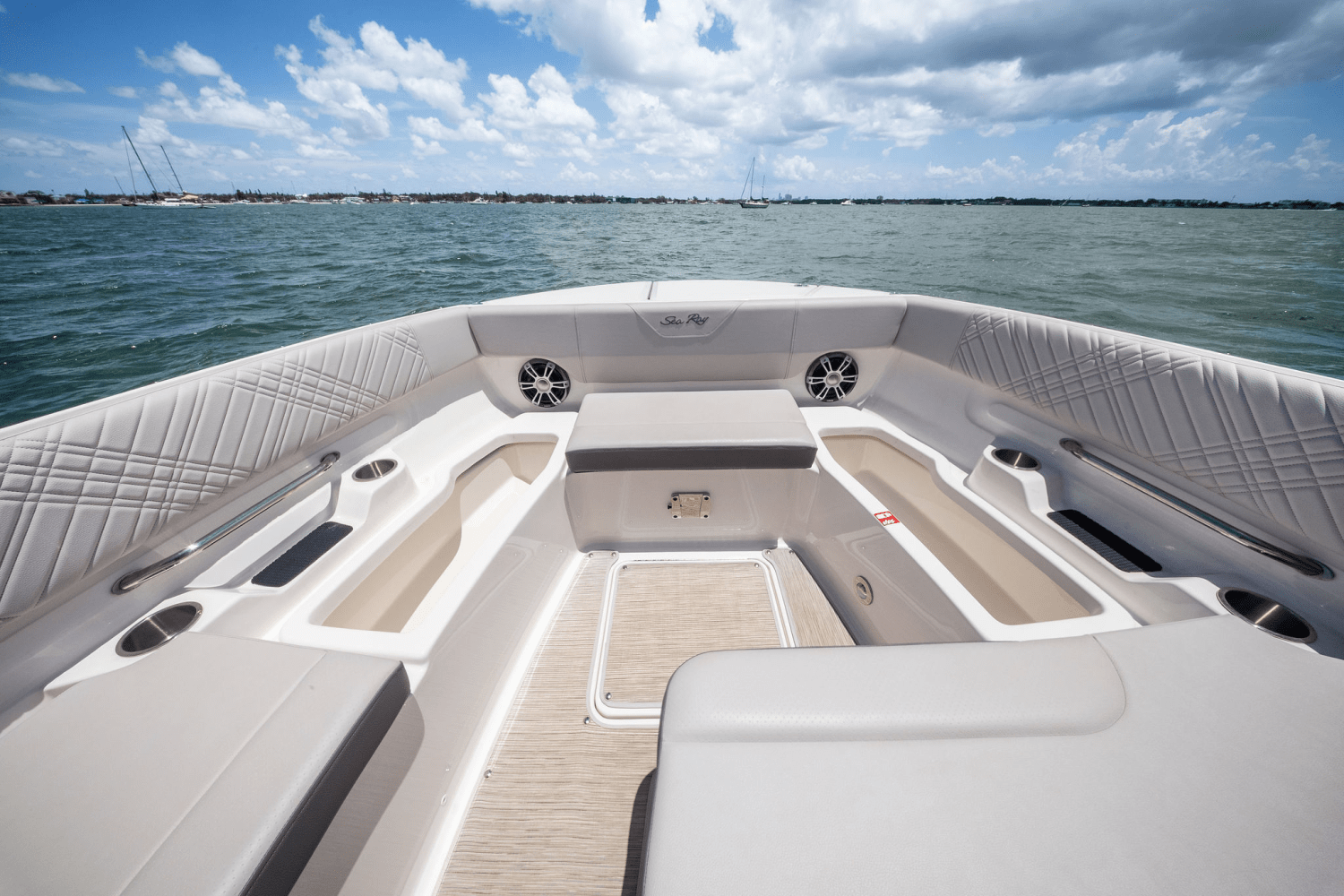 2025 Sea Ray SDX 270 Outboard Image Thumbnail #48