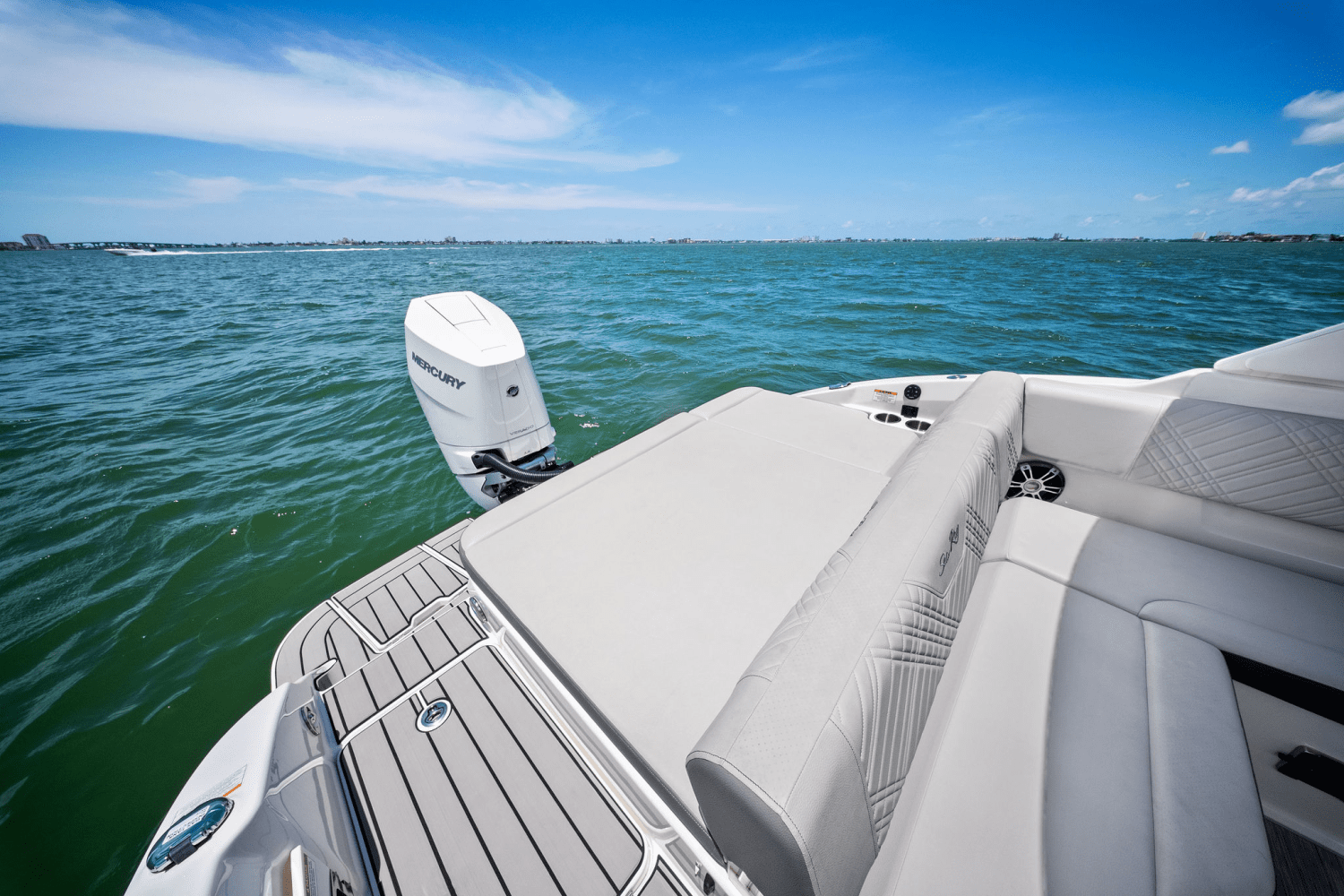 2025 Sea Ray SDX 270 Outboard Image Thumbnail #23