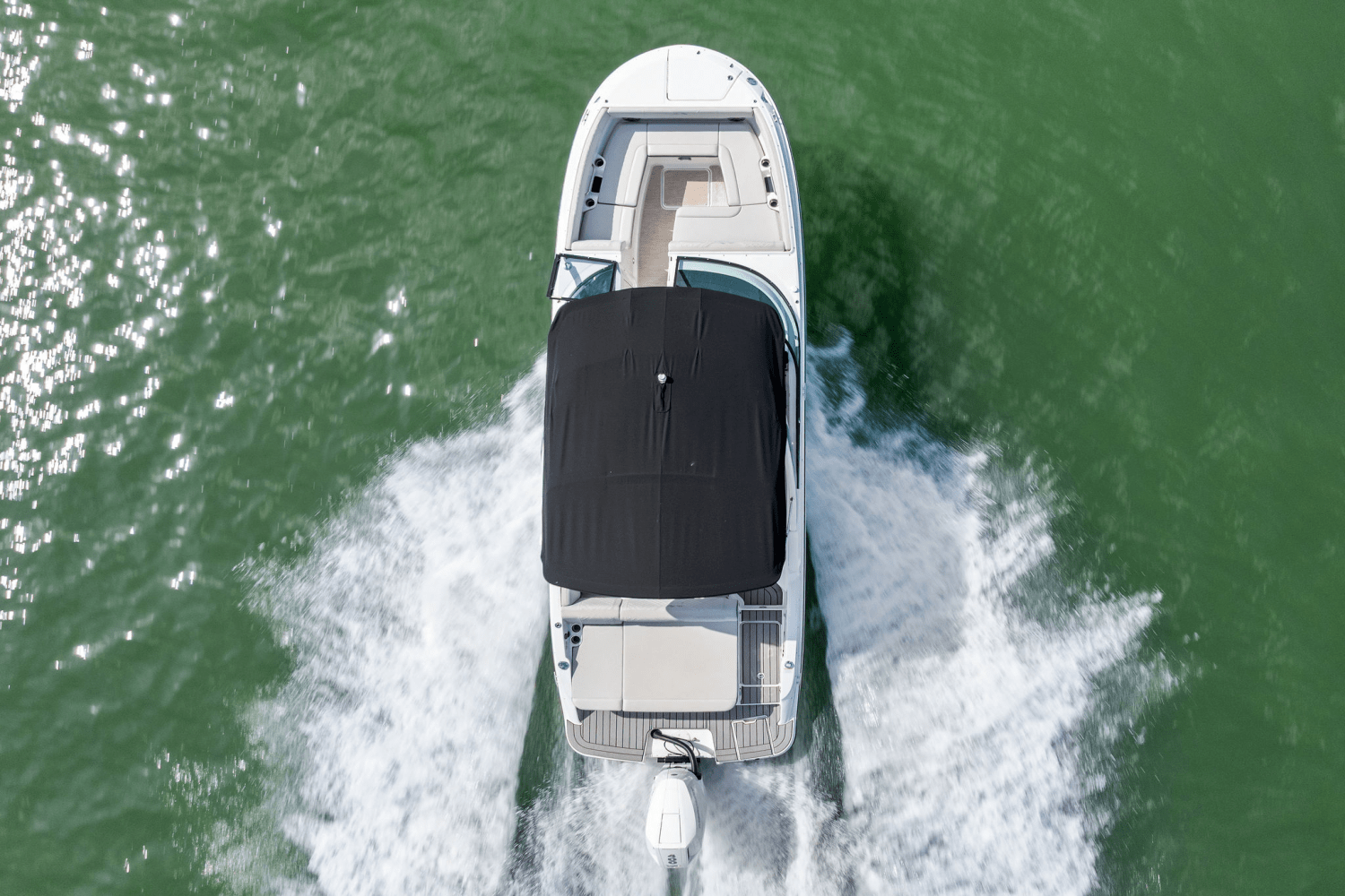 2025 Sea Ray SDX 270 Outboard Image Thumbnail #11
