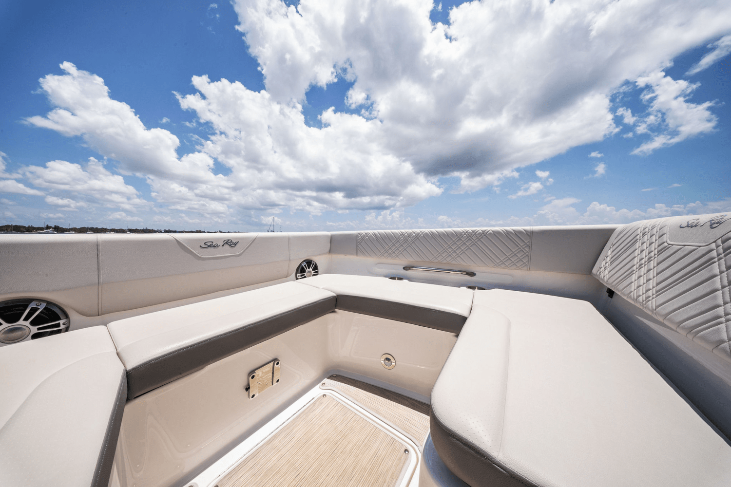 2025 Sea Ray SDX 270 Outboard Image Thumbnail #44
