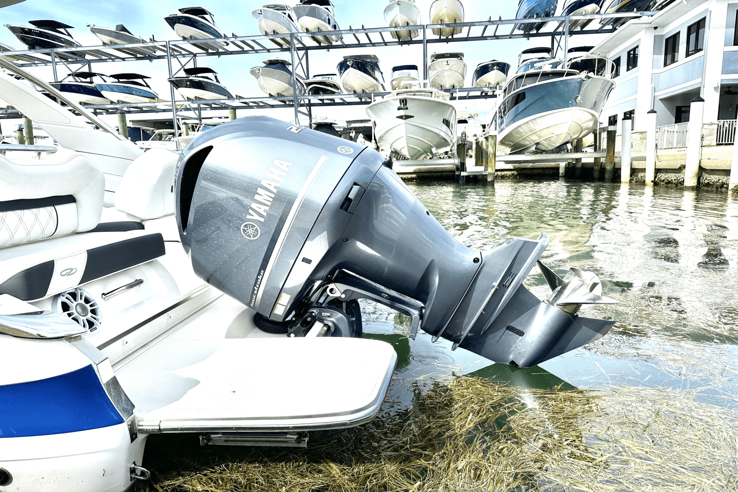 2025 Regal LX4 Image Thumbnail #6