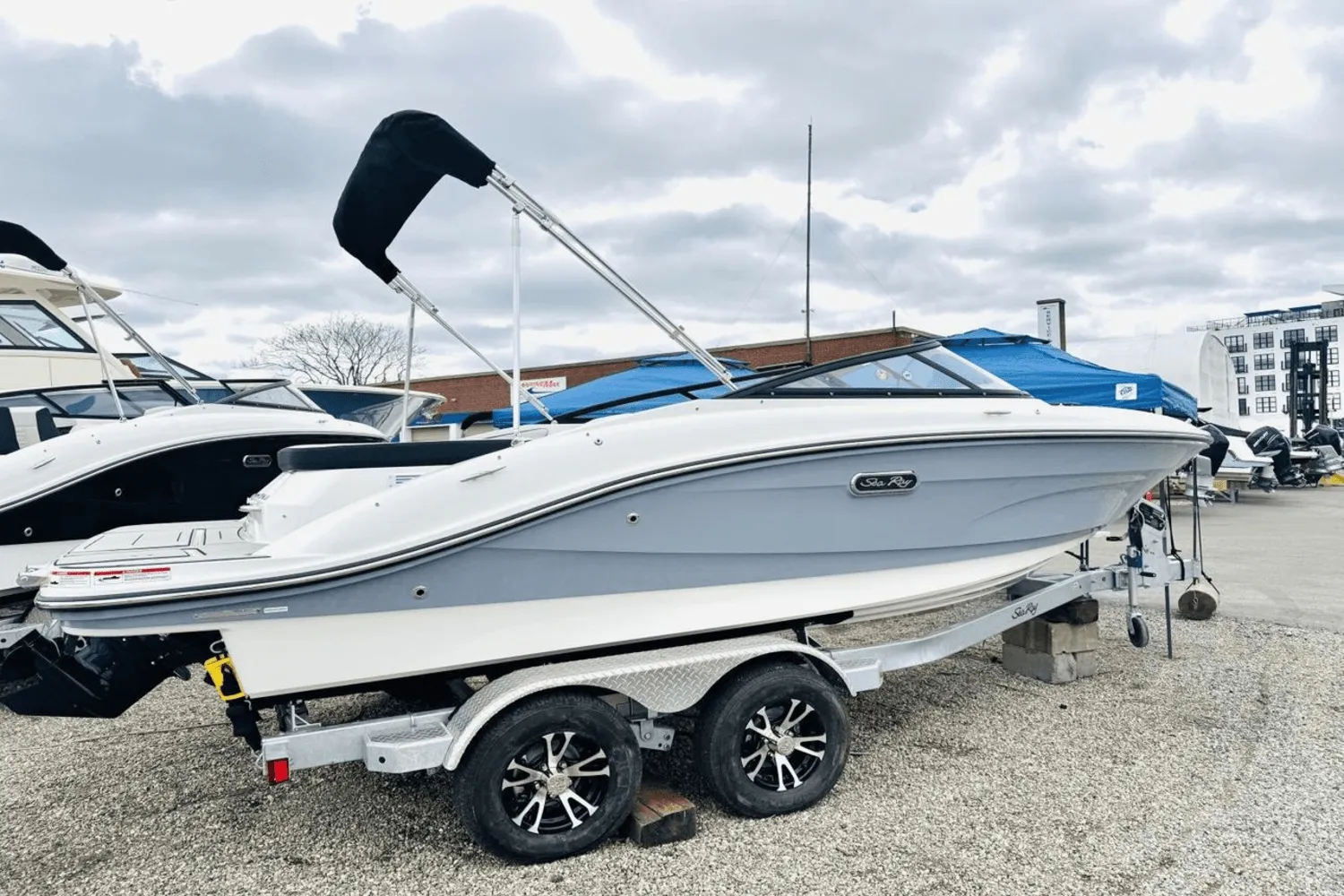 2024 Sea Ray 19 SPX Image Thumbnail #0