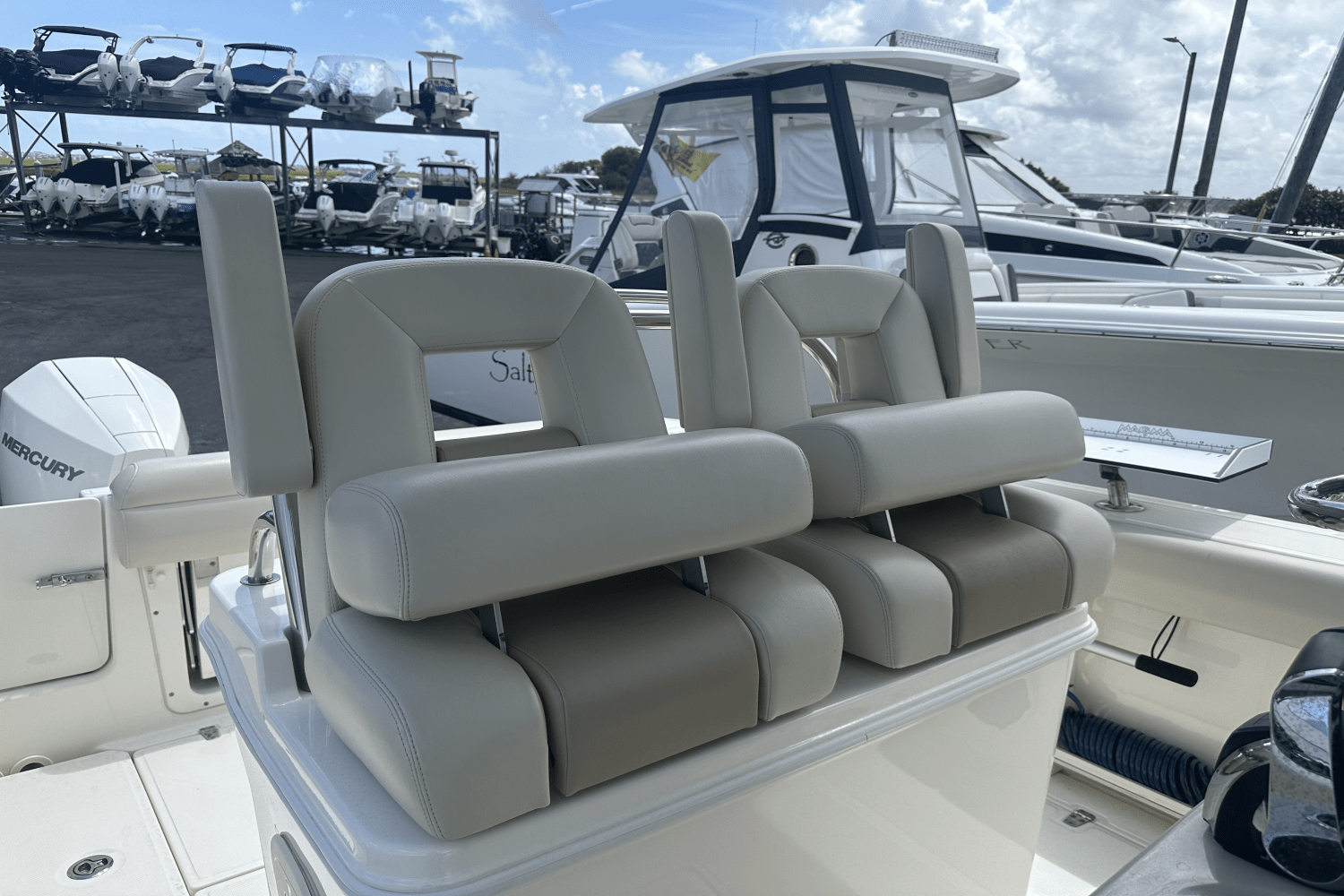 2020 Boston Whaler 250 OUTRAGE Image Thumbnail #8
