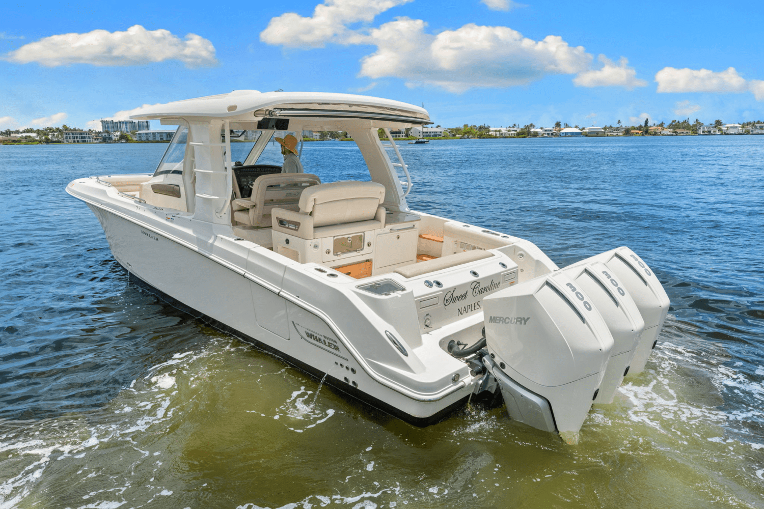 2021 Boston Whaler 350 REALM Image Thumbnail #14