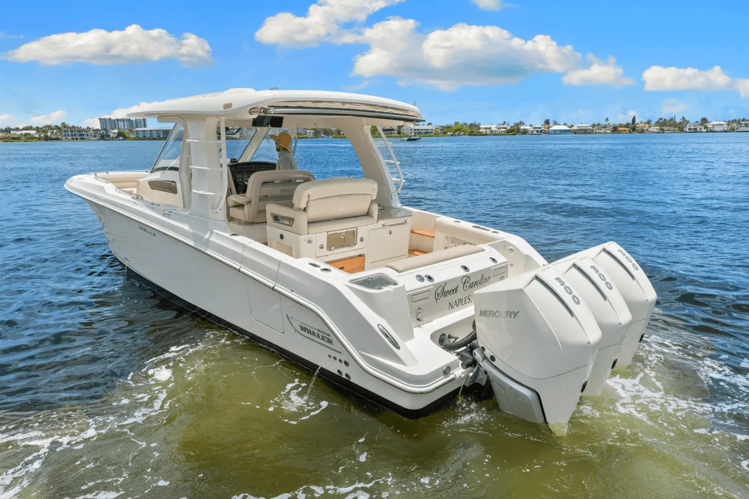 2021 Boston Whaler 350 REALM Image Thumbnail #14