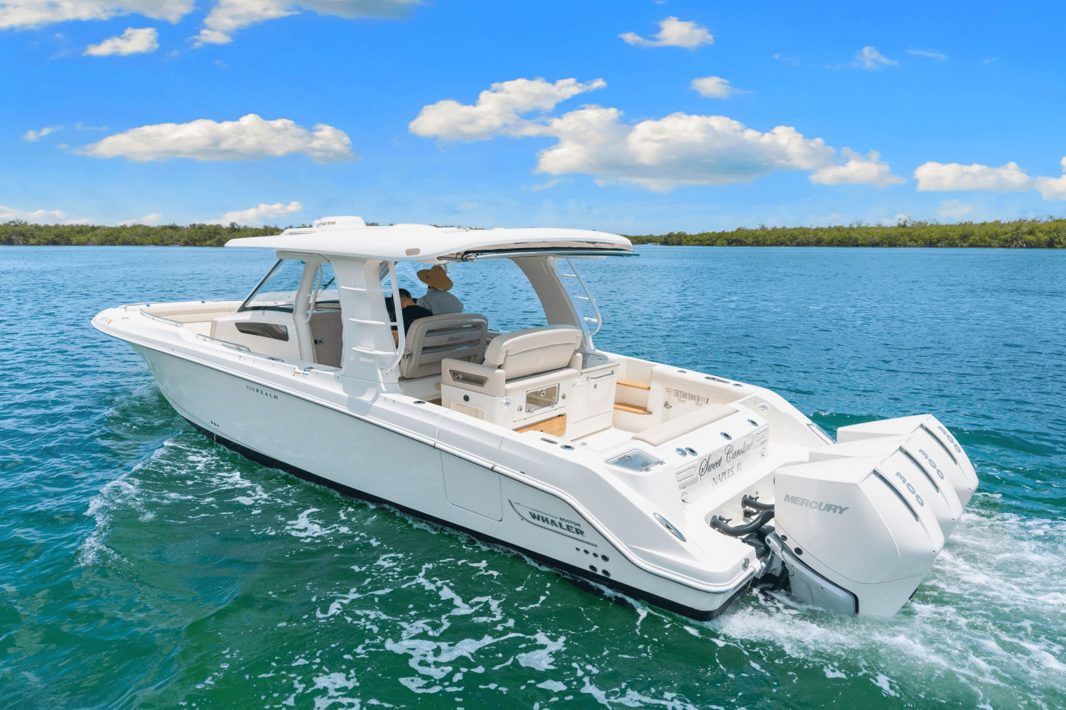 2021 Boston Whaler 350 REALM Image Thumbnail #13