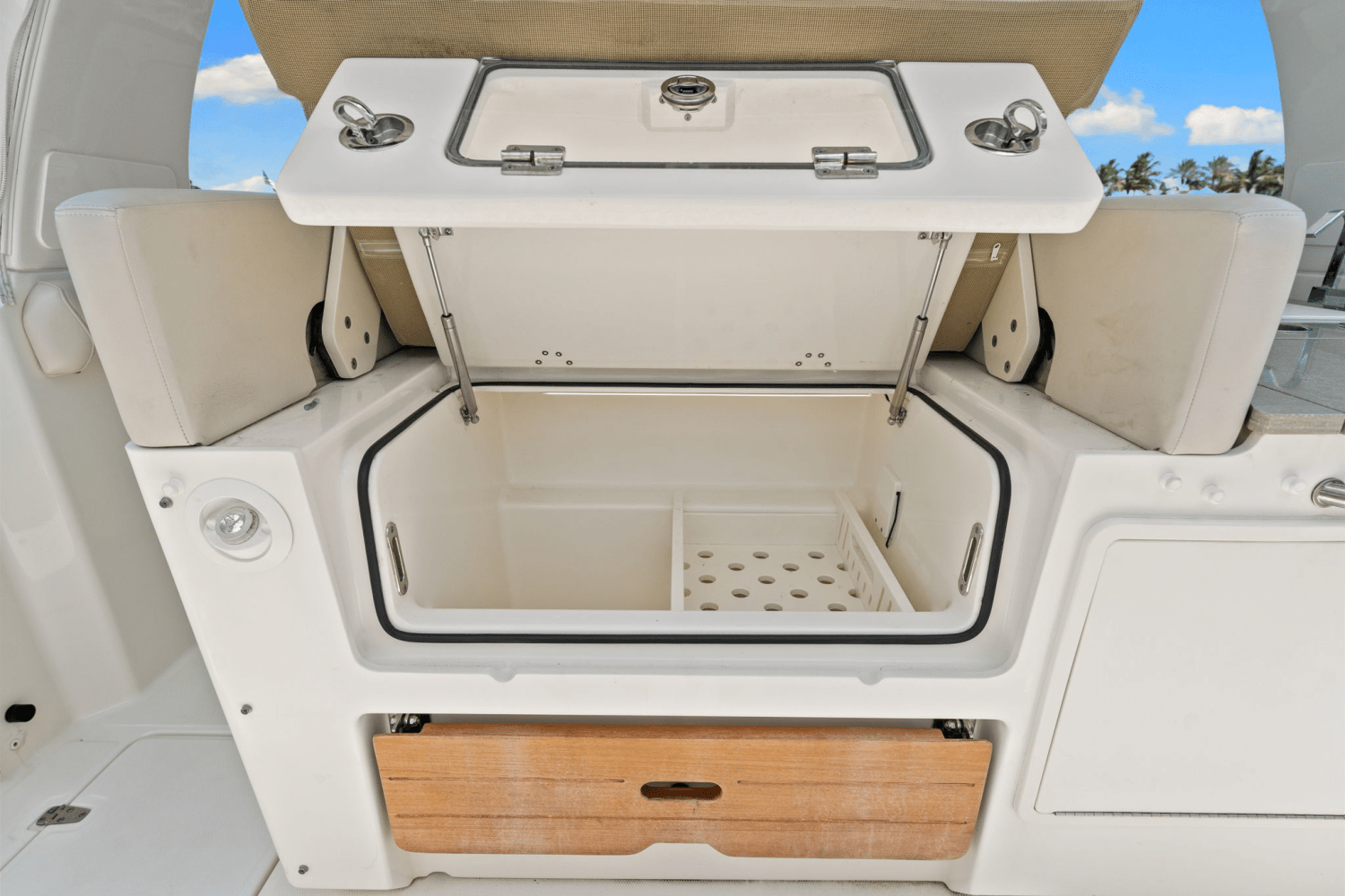 2021 Boston Whaler 350 REALM Image Thumbnail #39